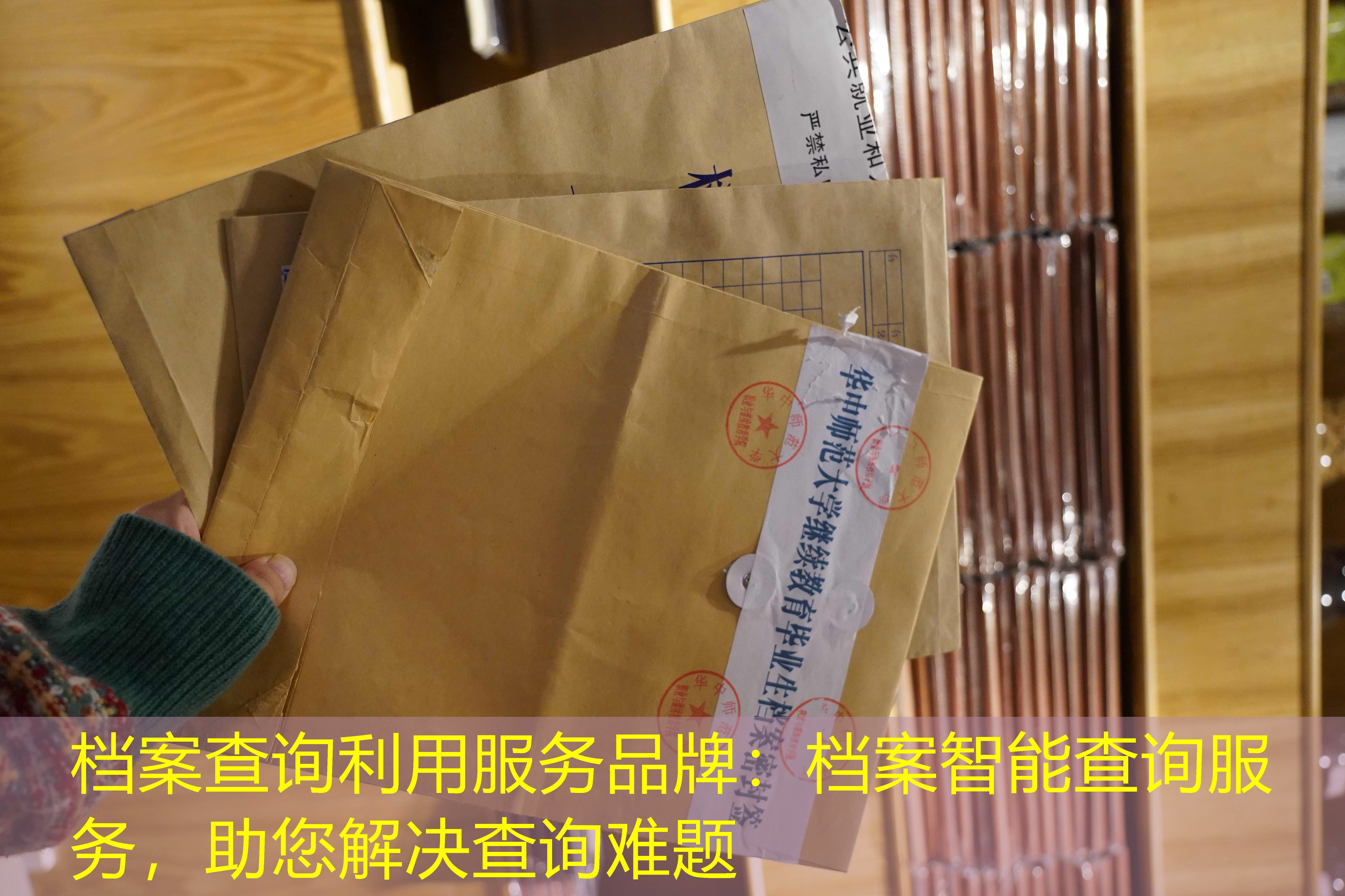 档案查询