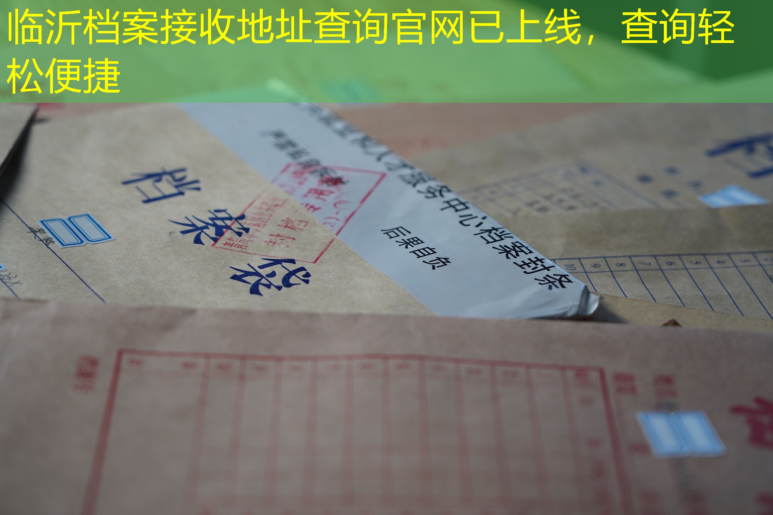 档案查询