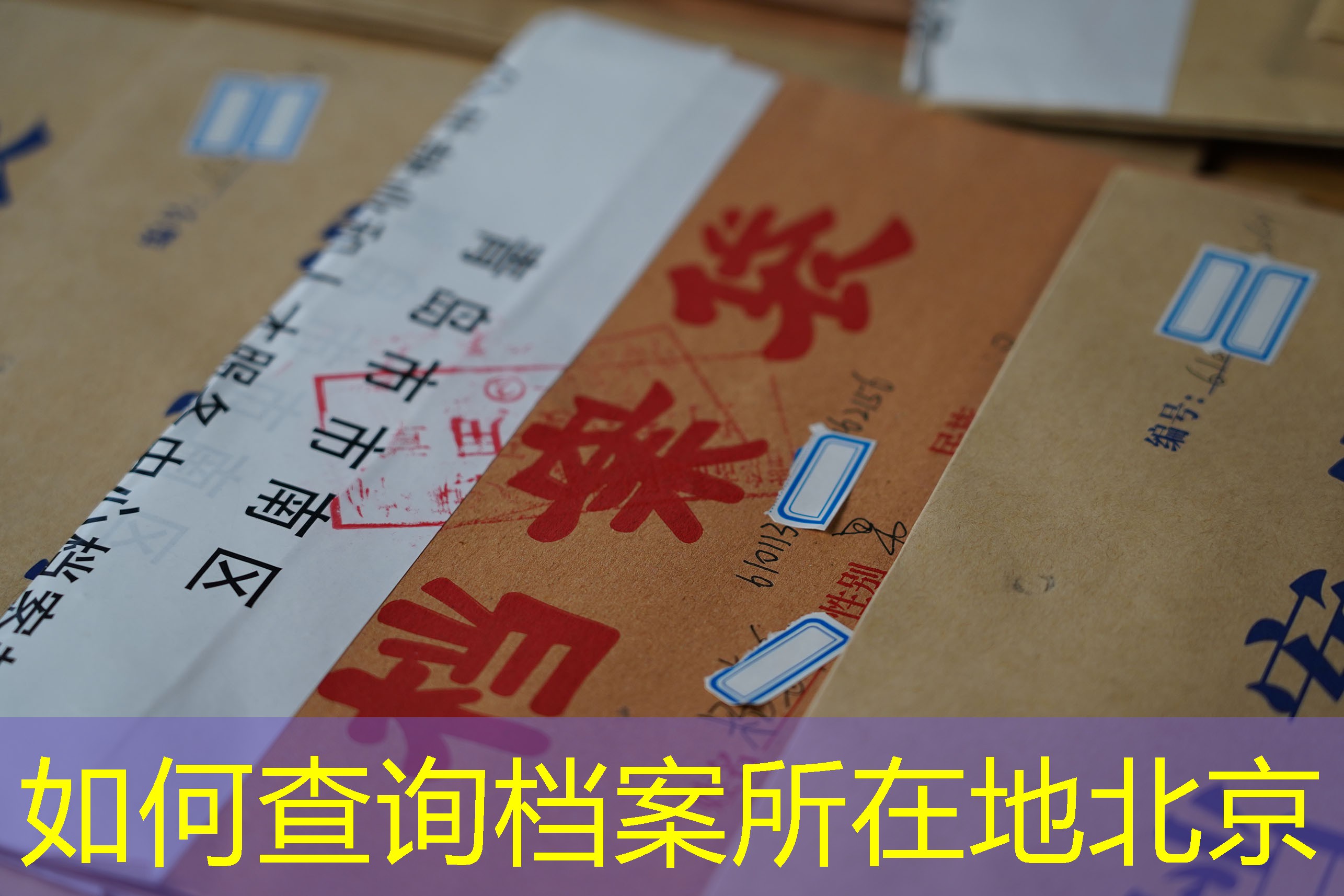 档案查询