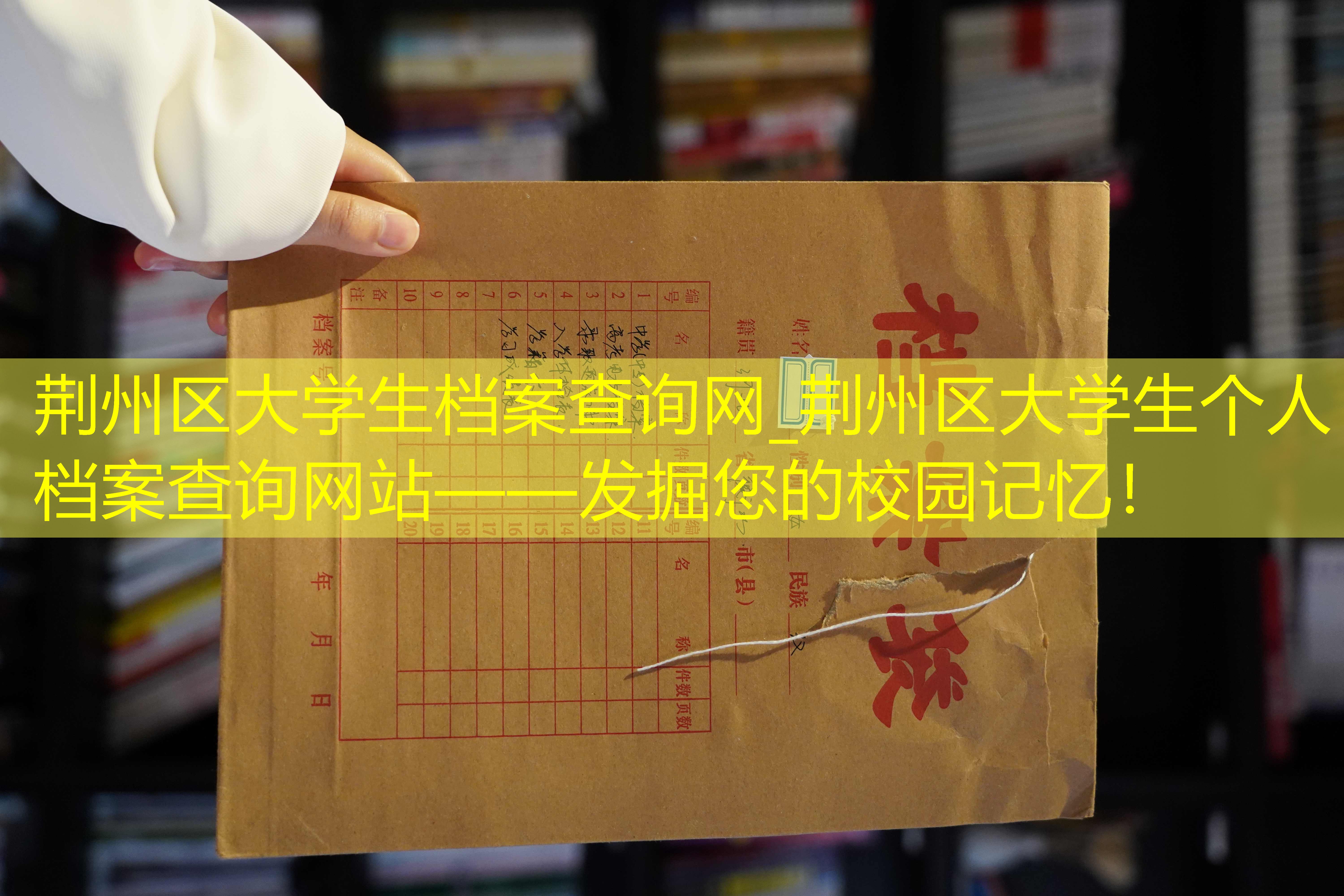 档案查询