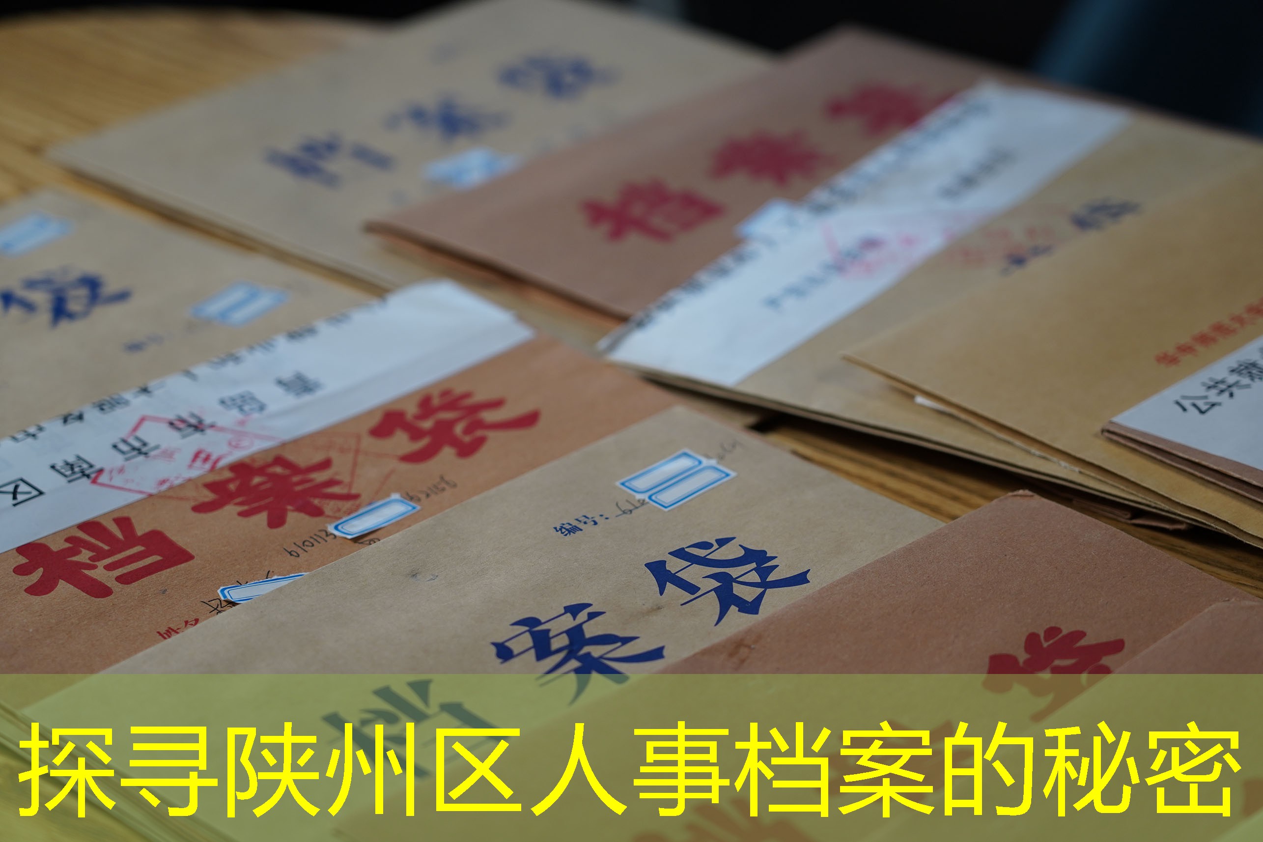 档案查询