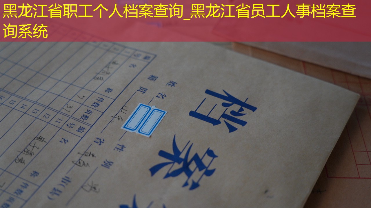 档案查询