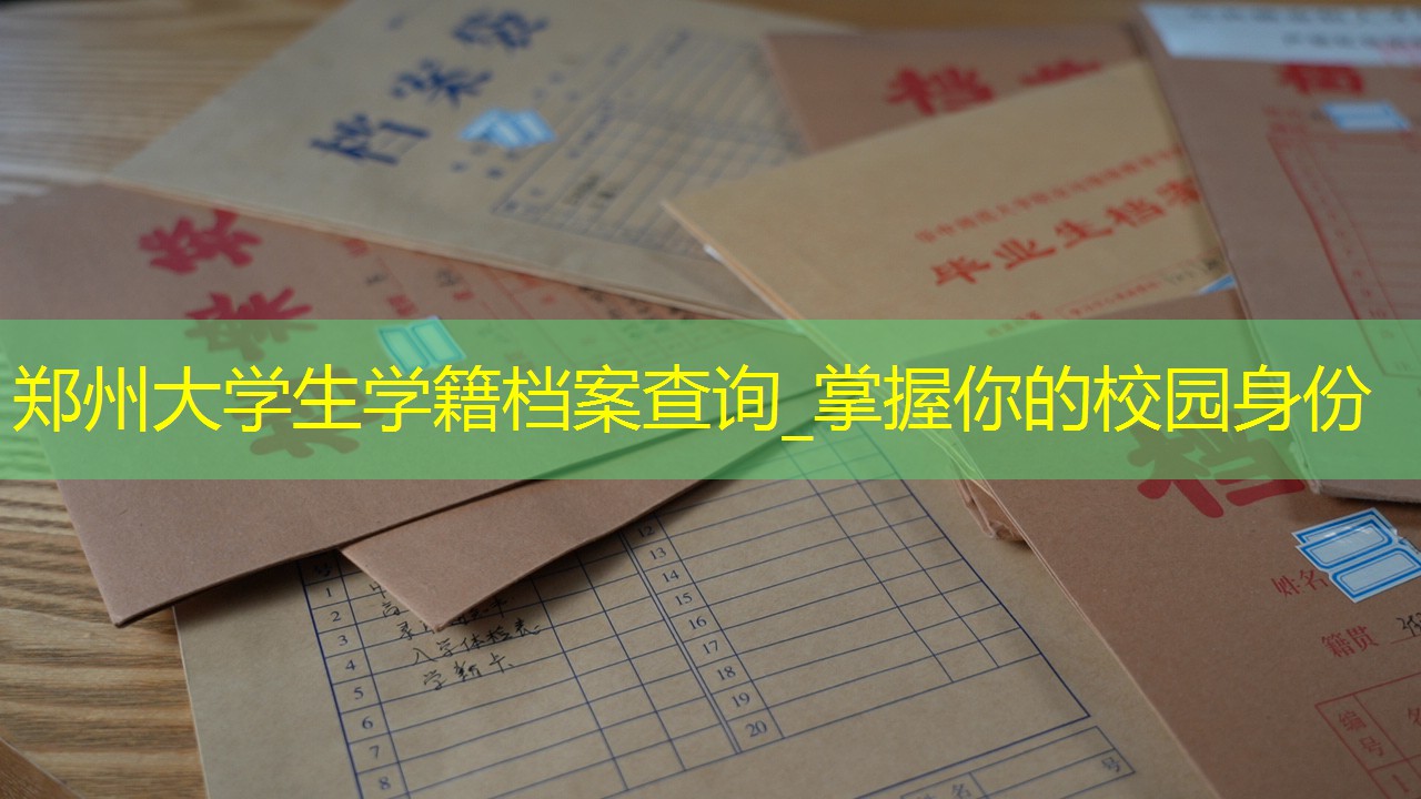 档案查询