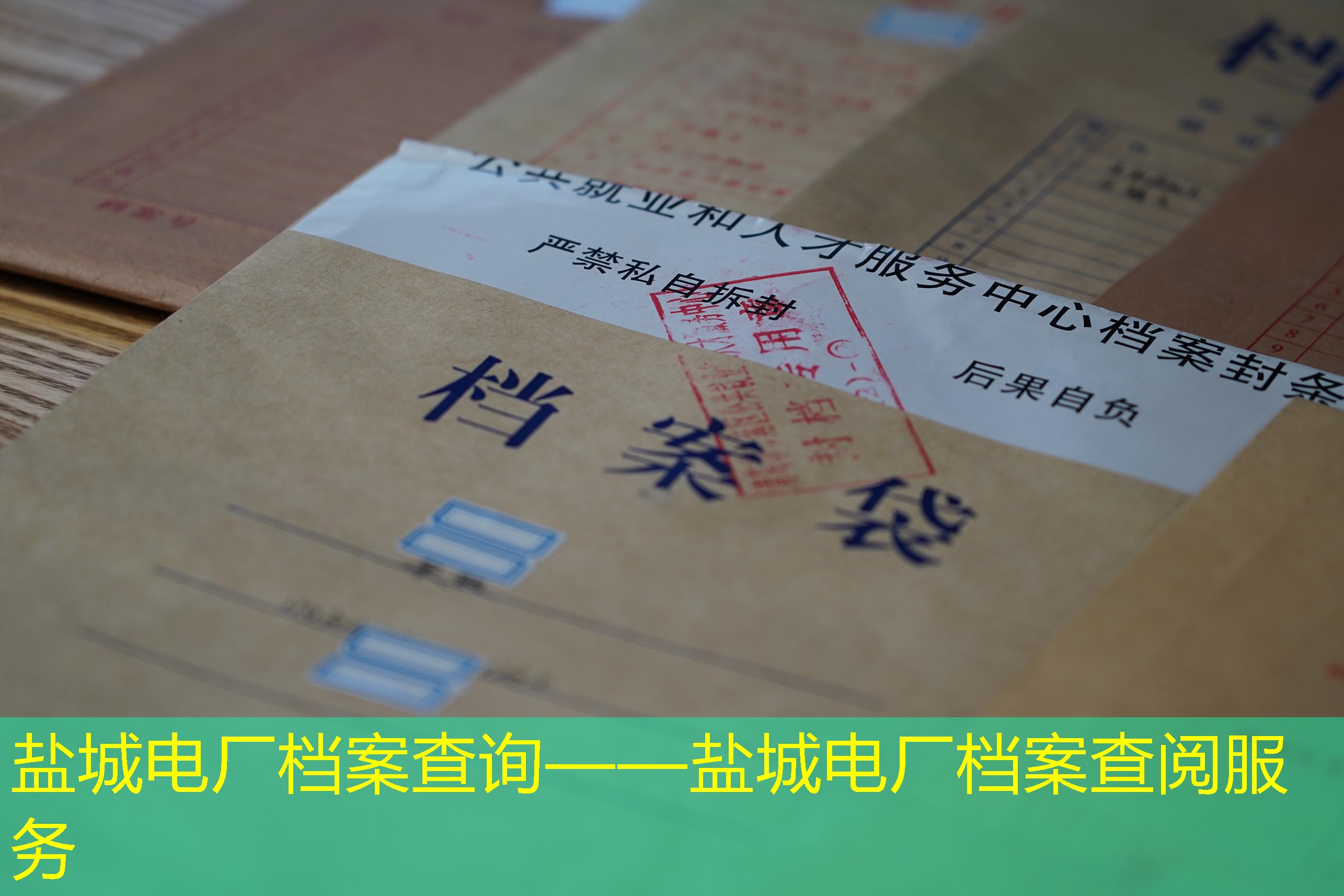 档案查询