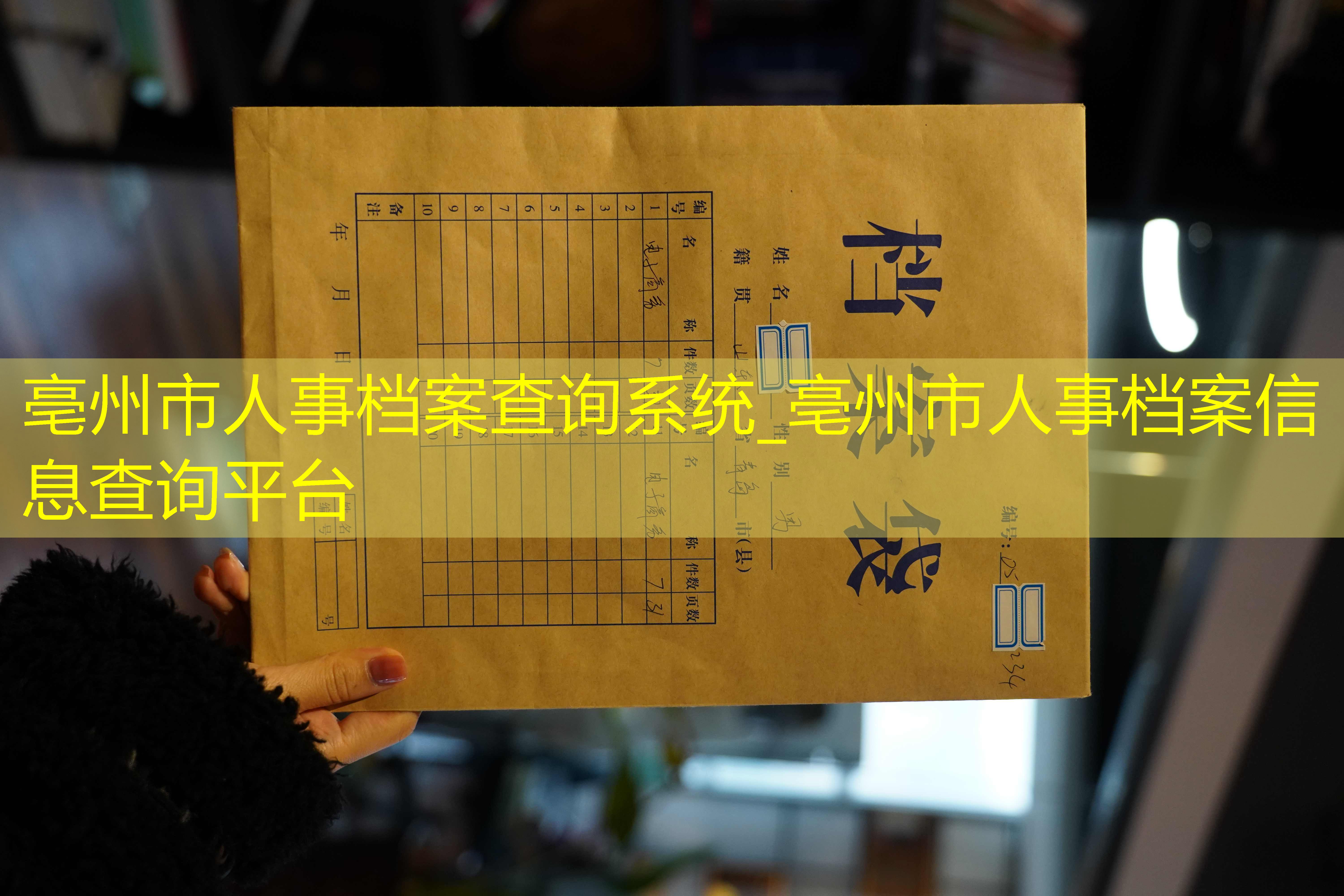 档案查询