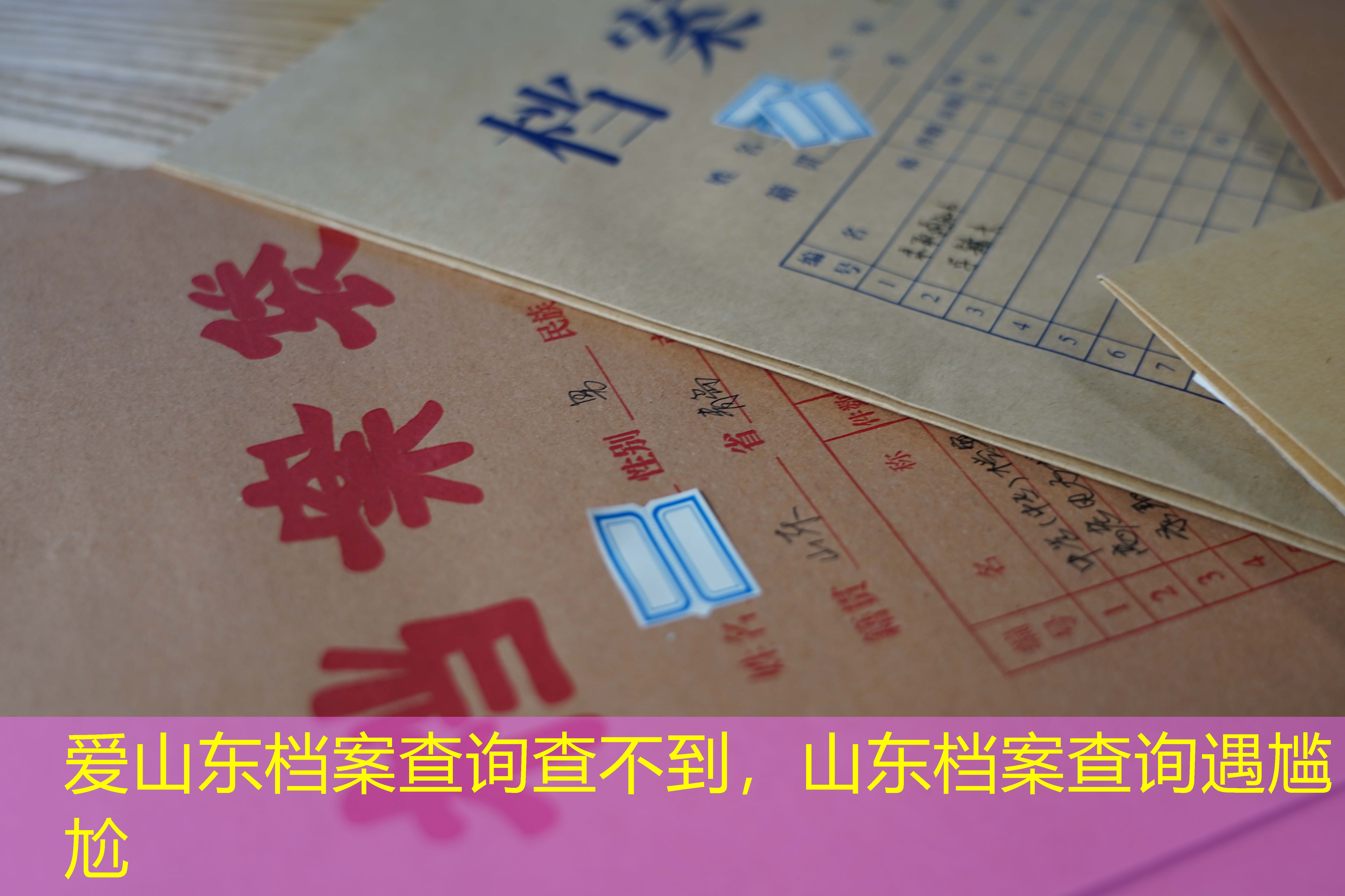 档案查询
