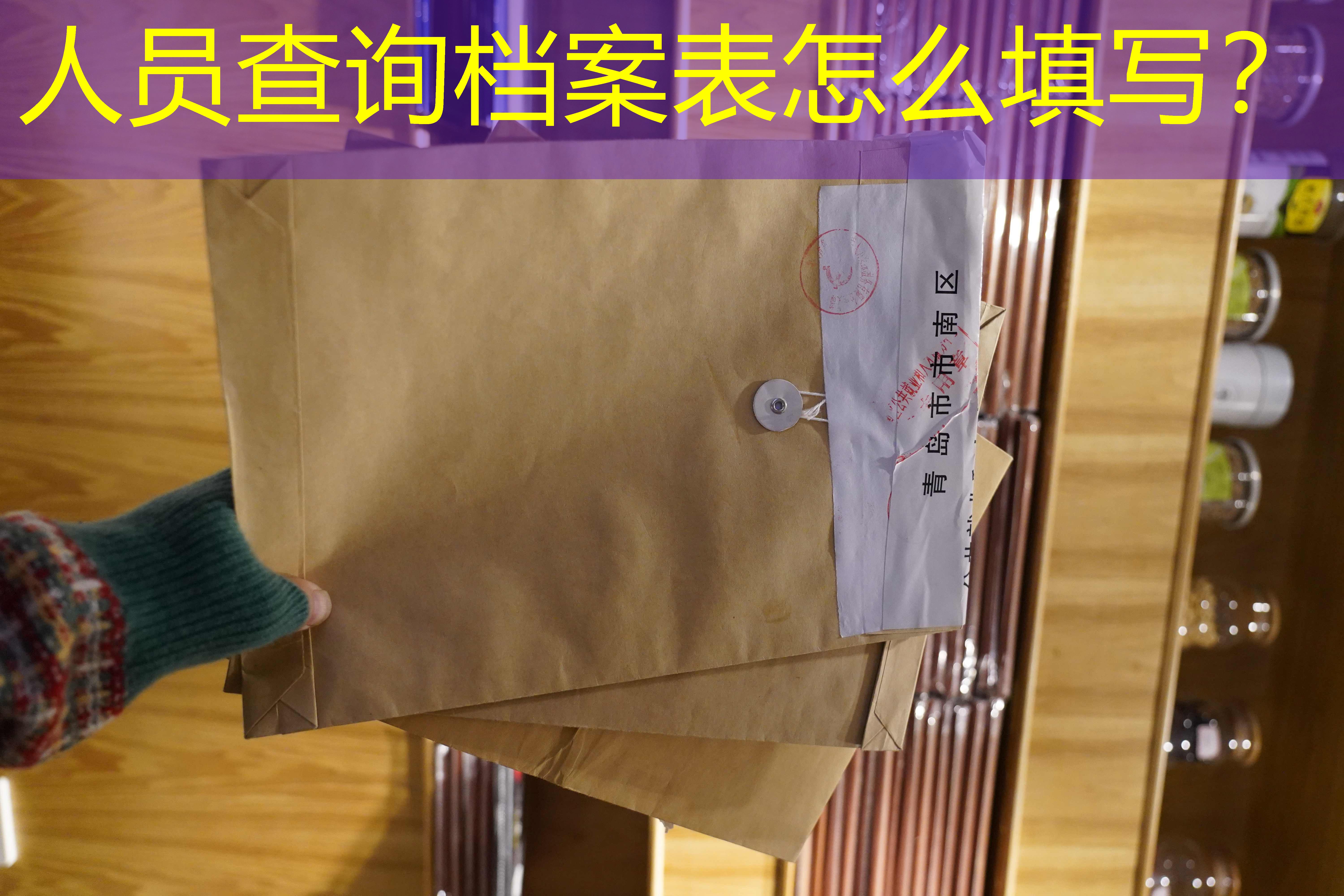 档案查询