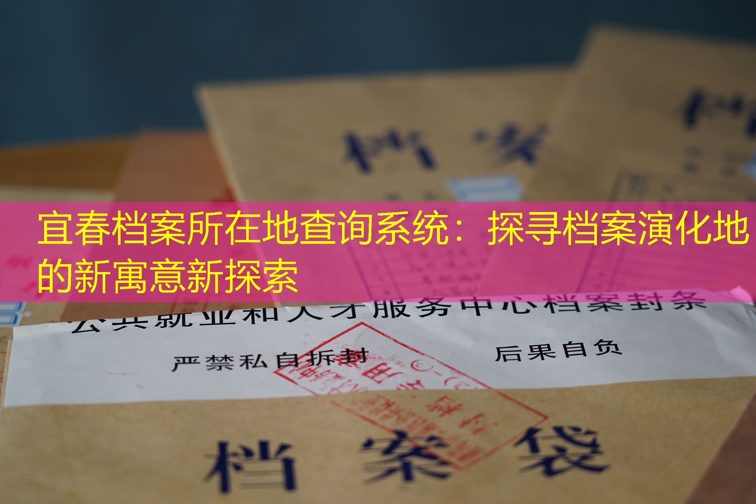 档案查询