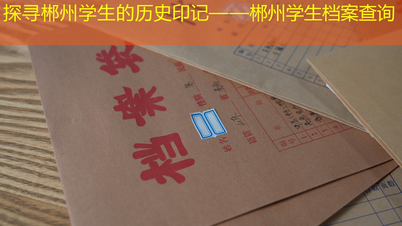 档案查询