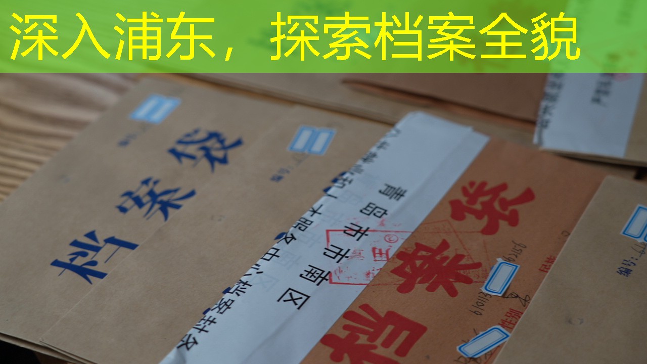 档案查询