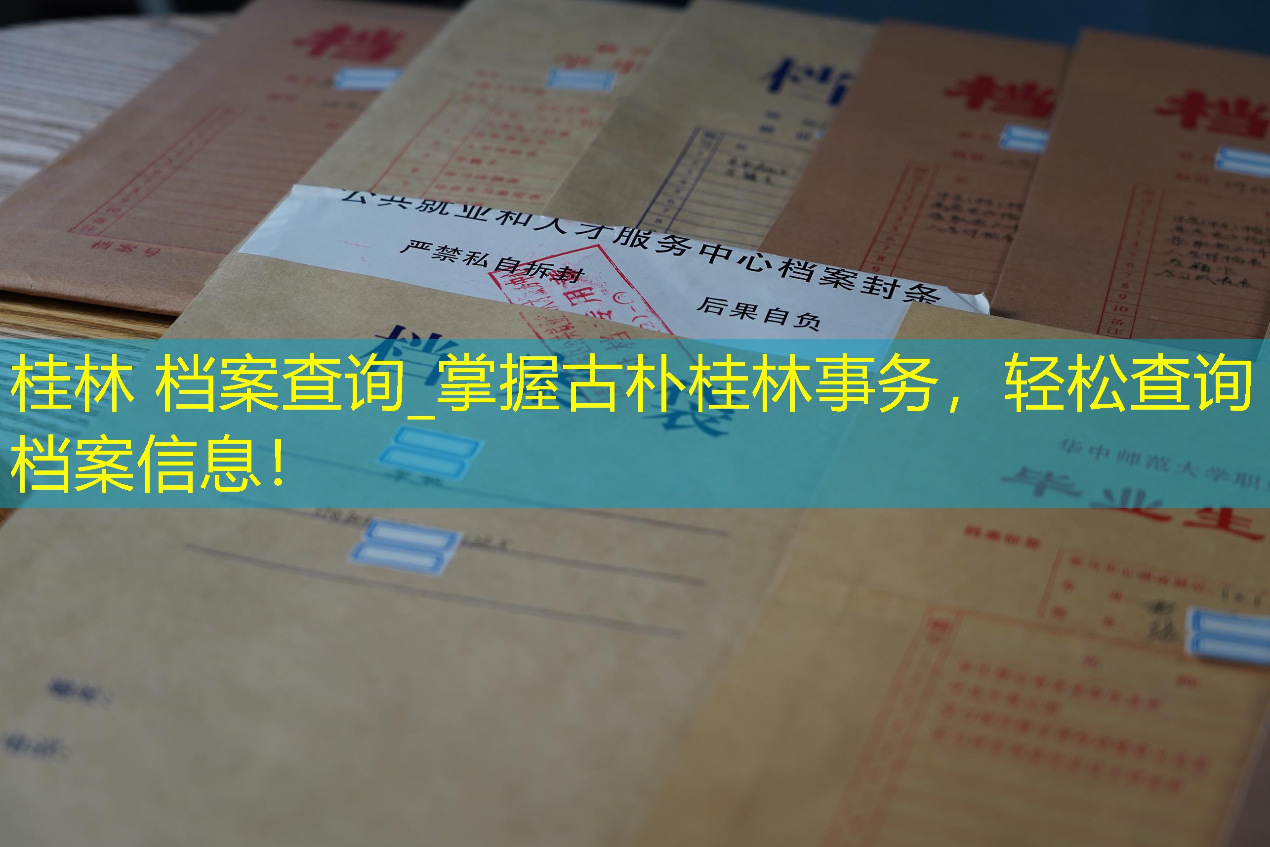 档案查询