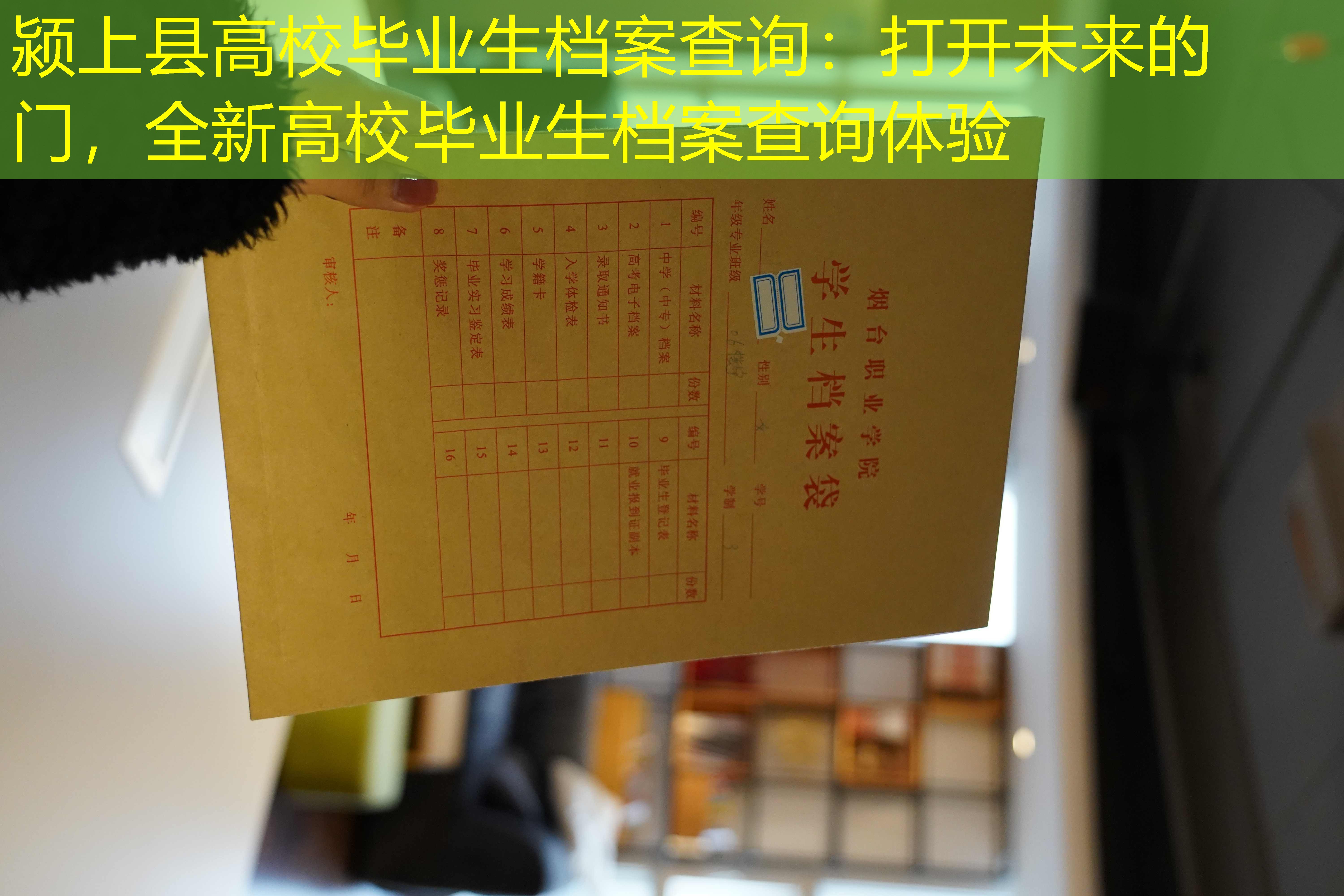 档案查询