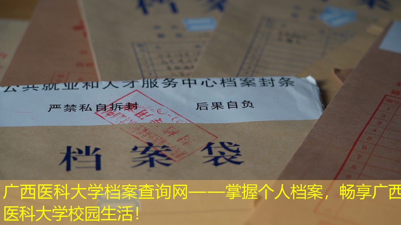 档案查询