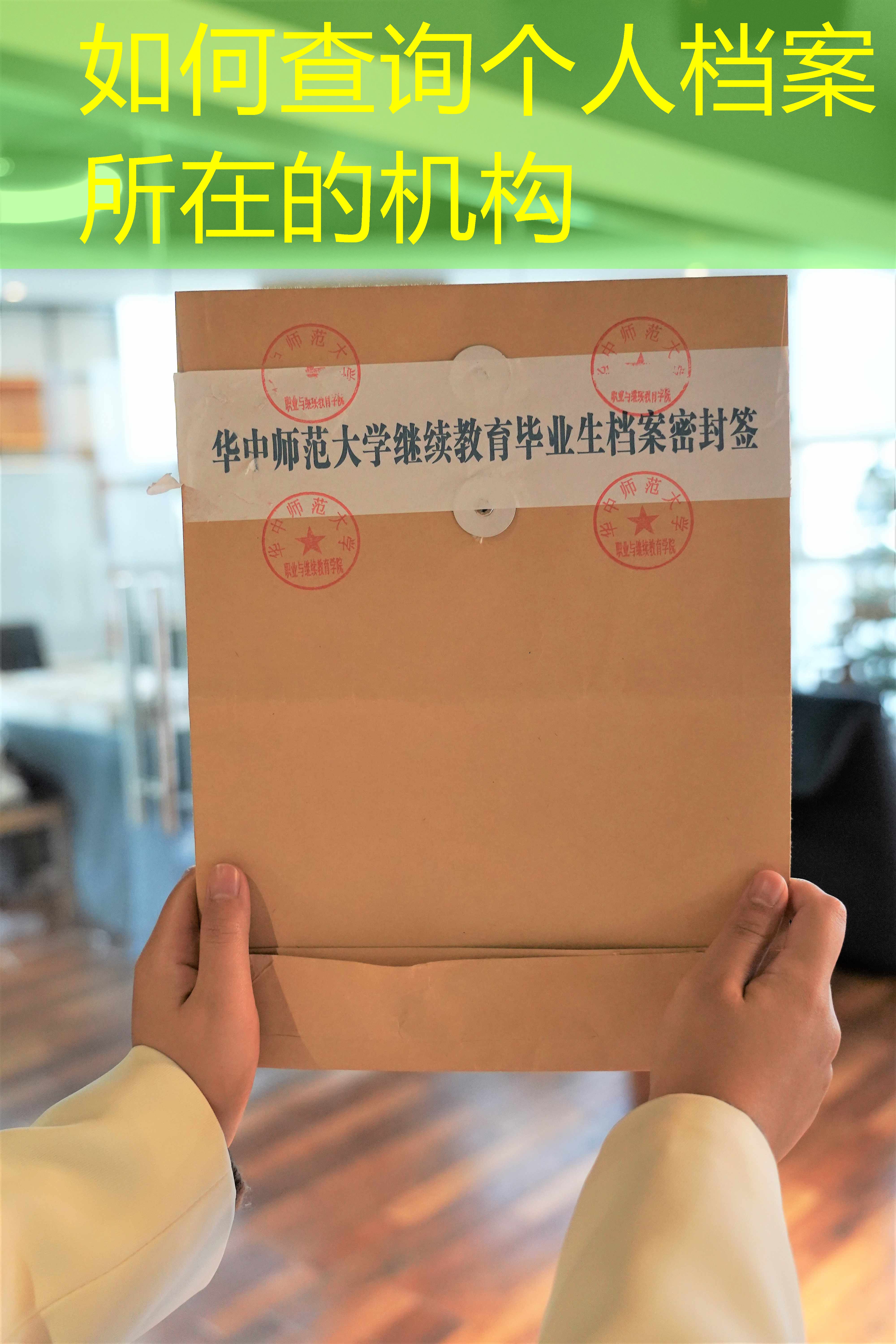 档案查询