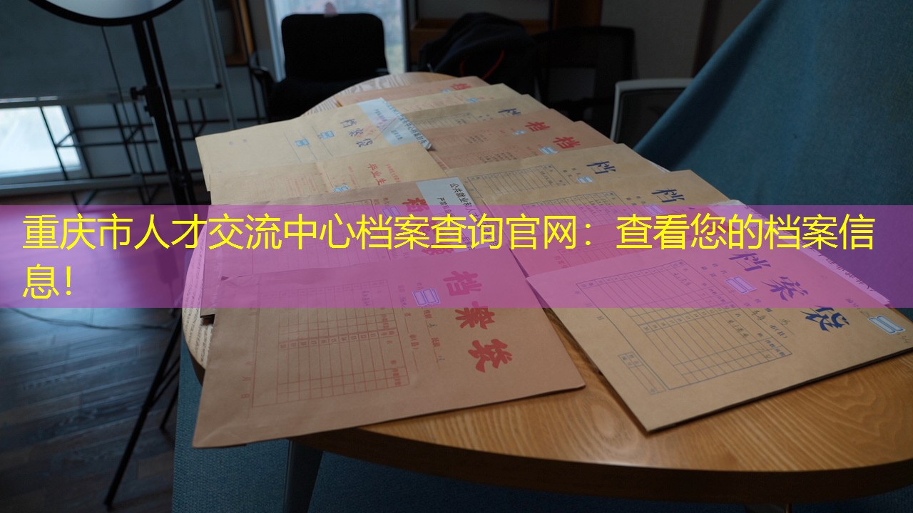 档案查询