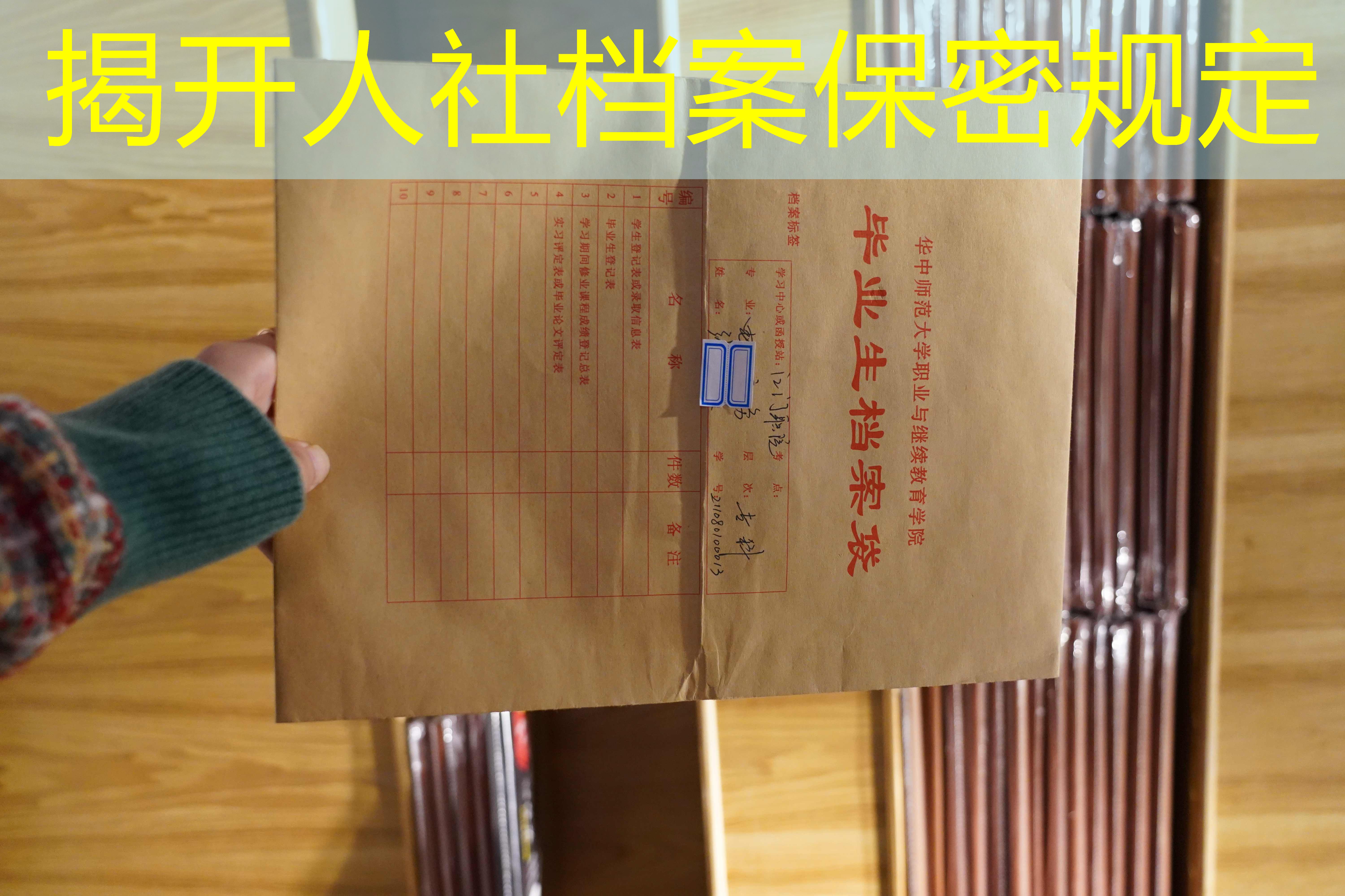 档案查询