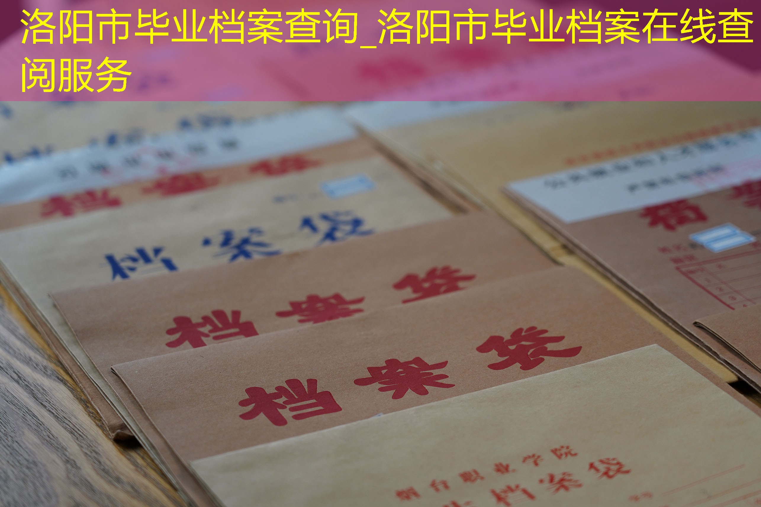 档案查询