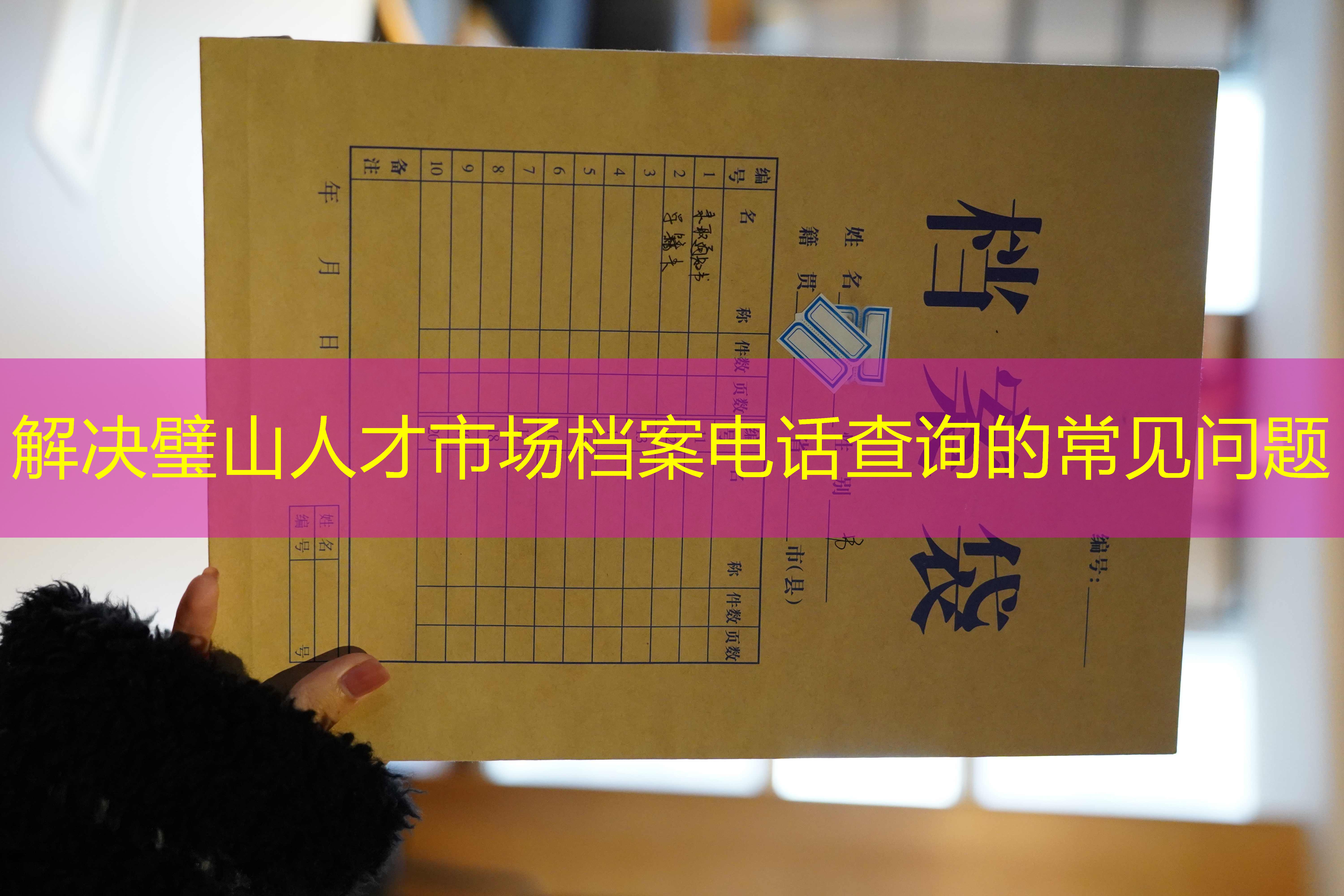 档案查询