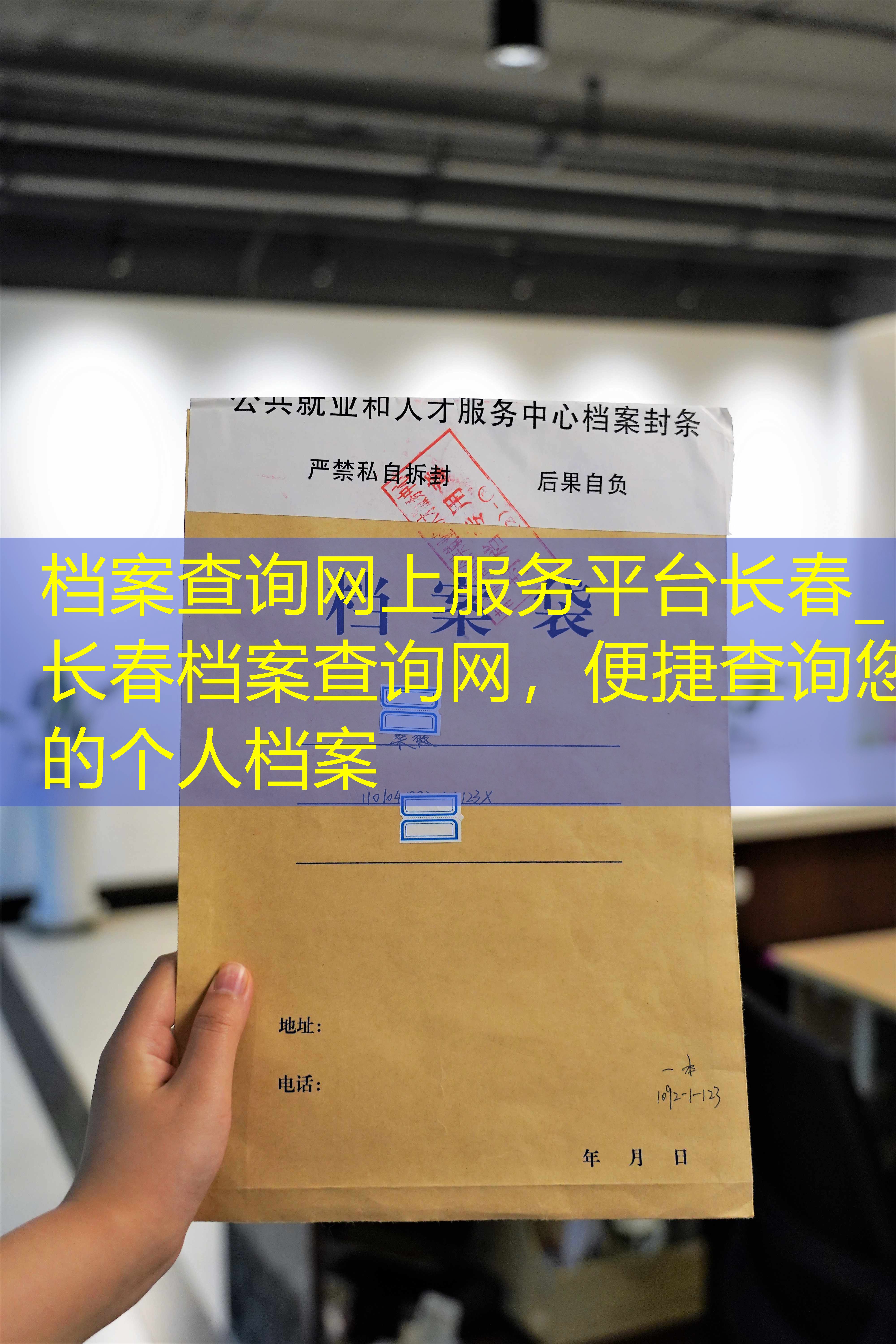 档案查询