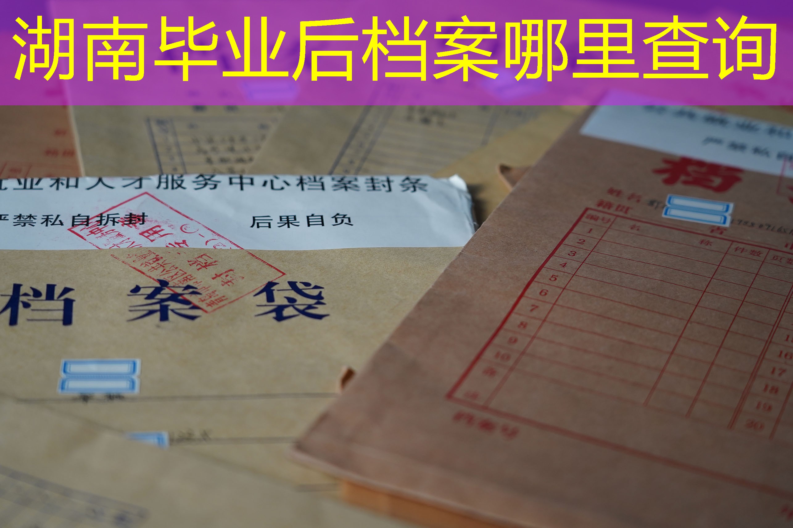 档案查询