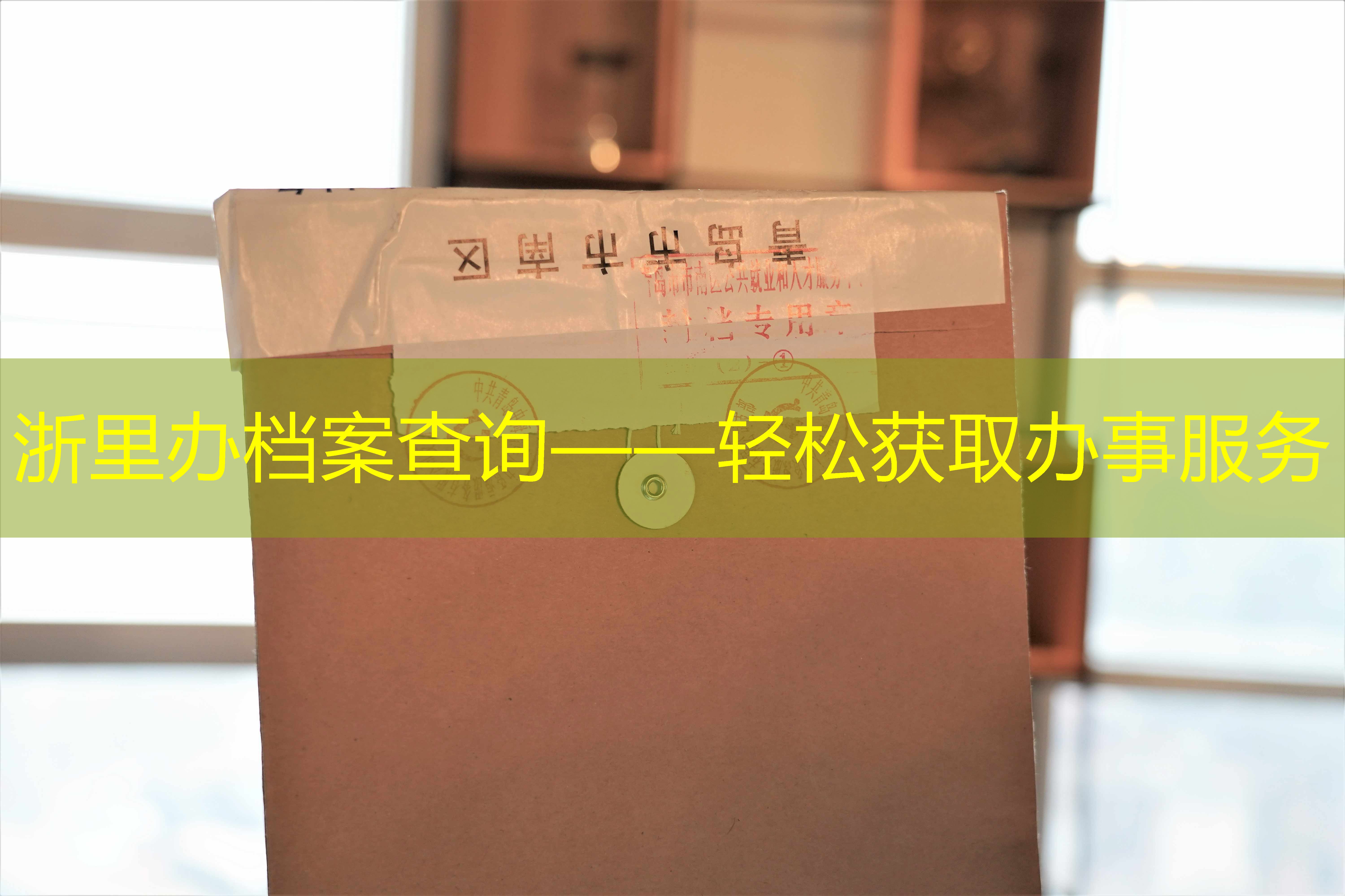 档案查询
