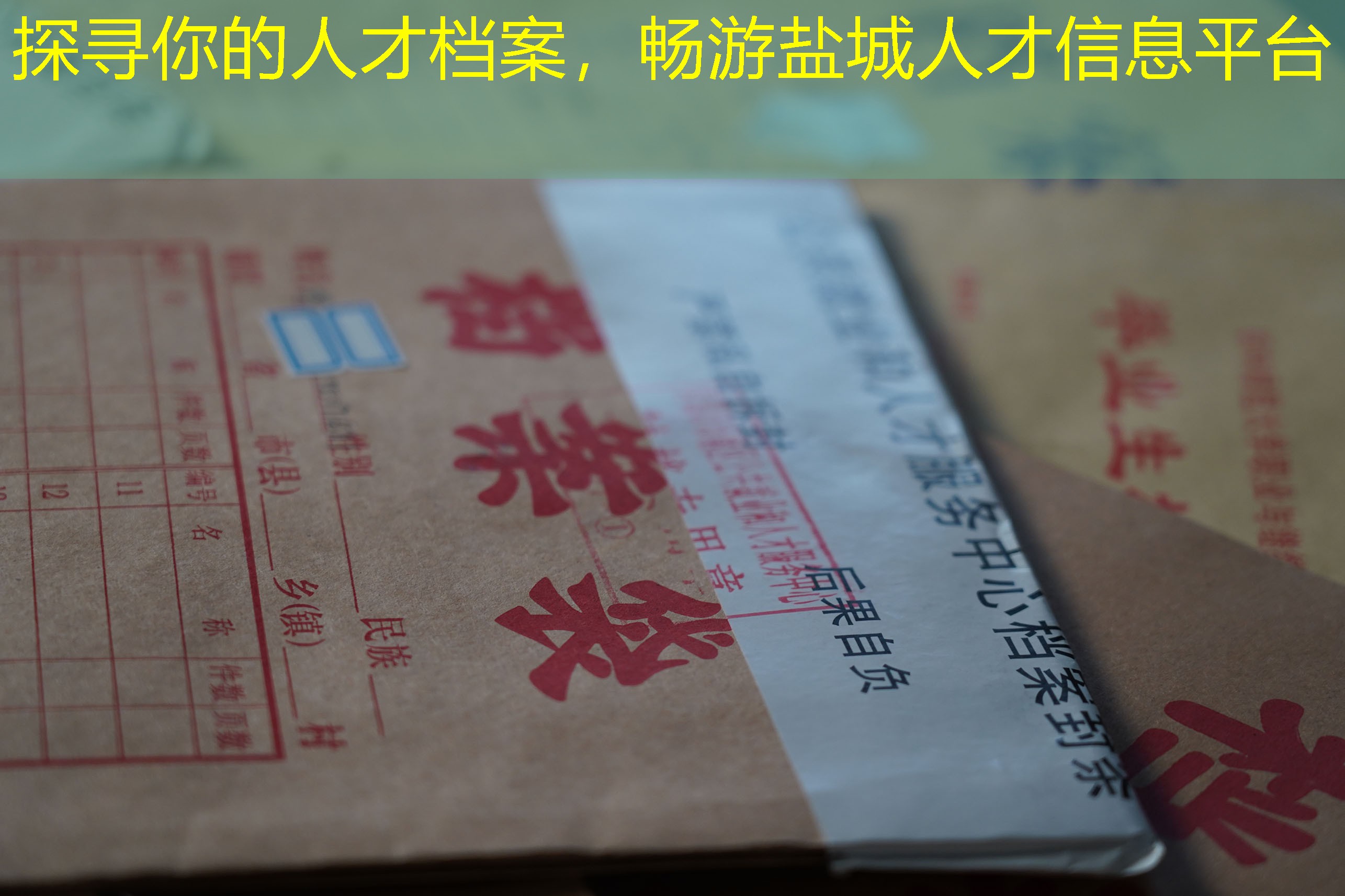 档案查询