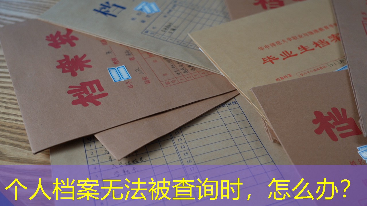 档案查询