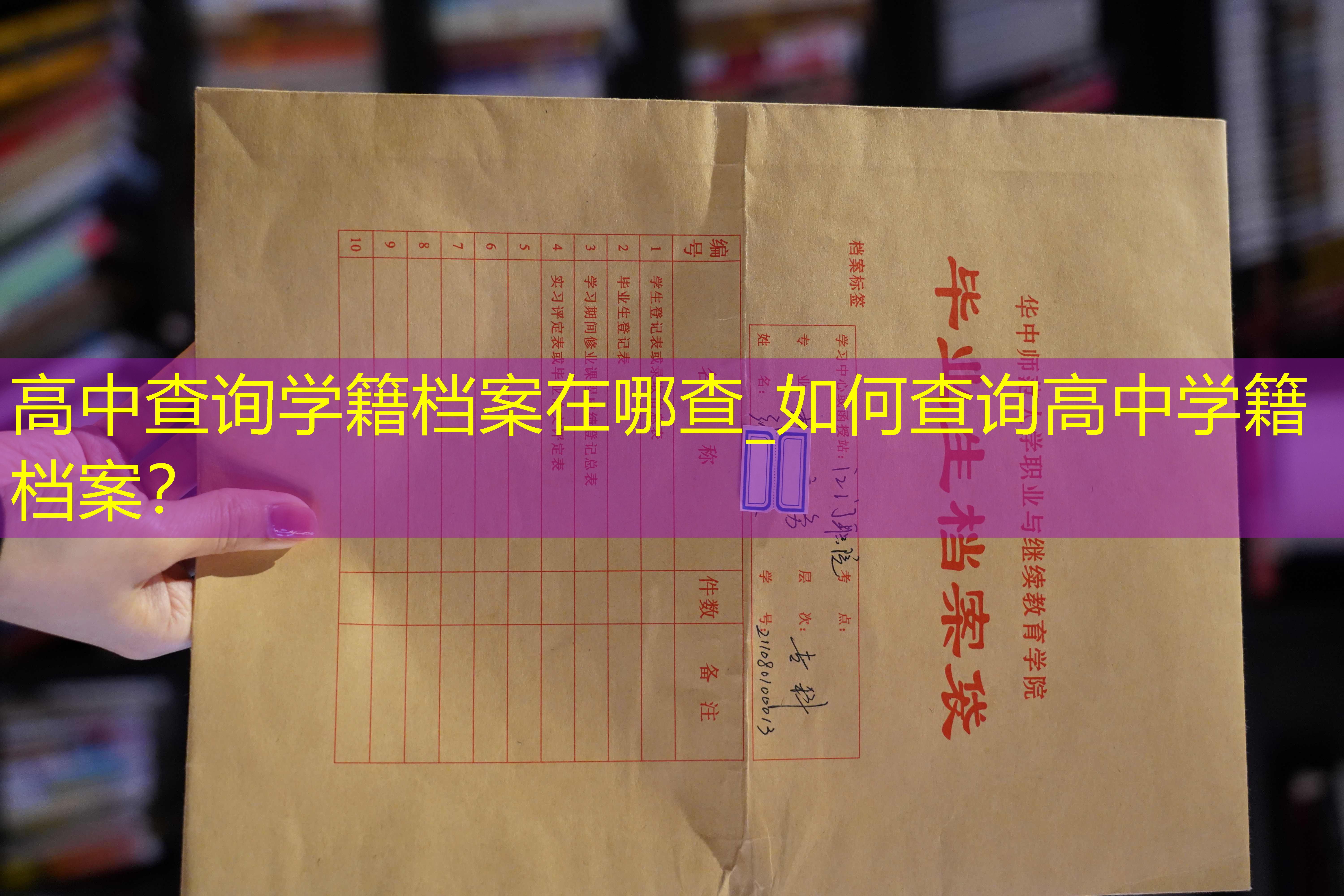 档案查询