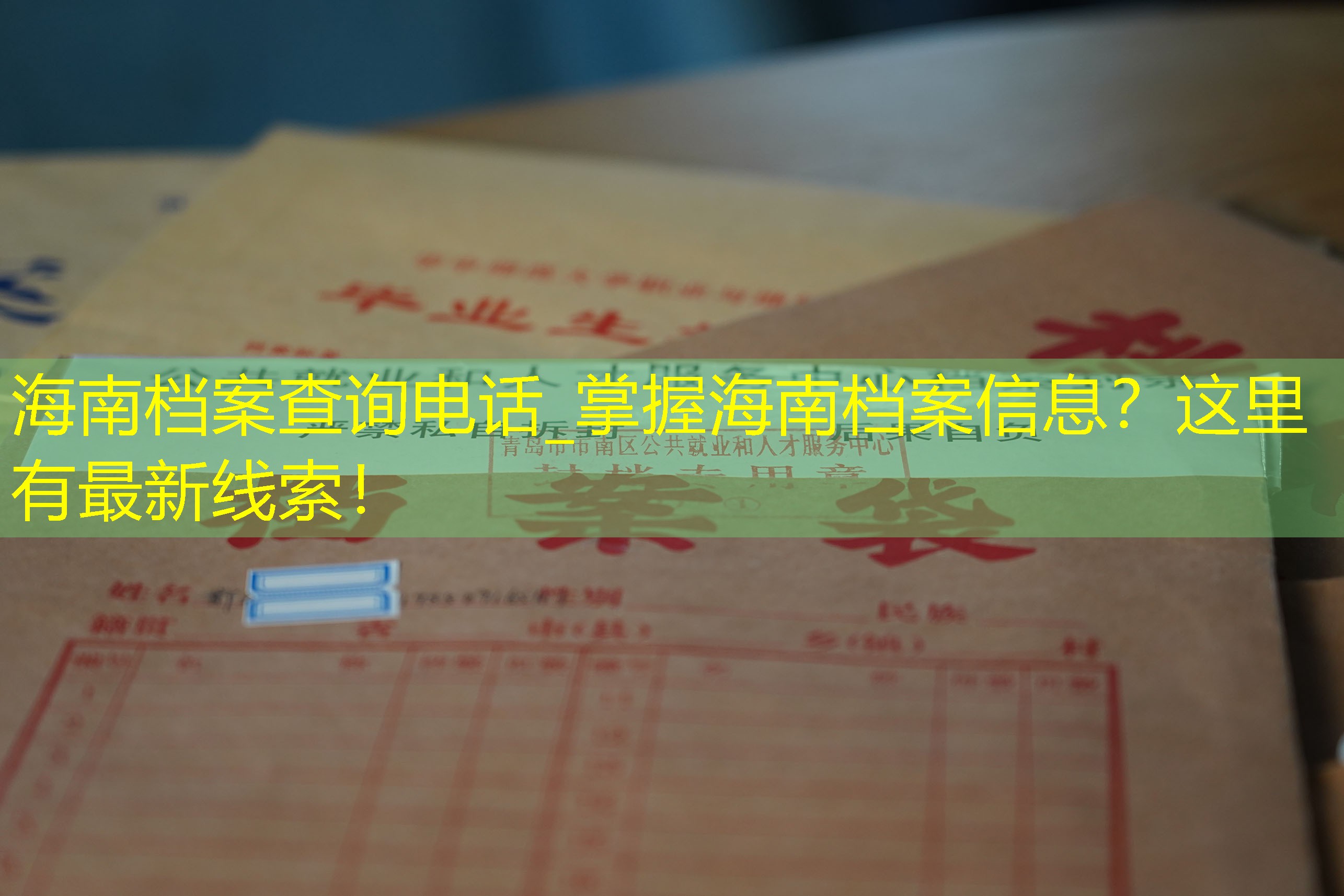 档案查询