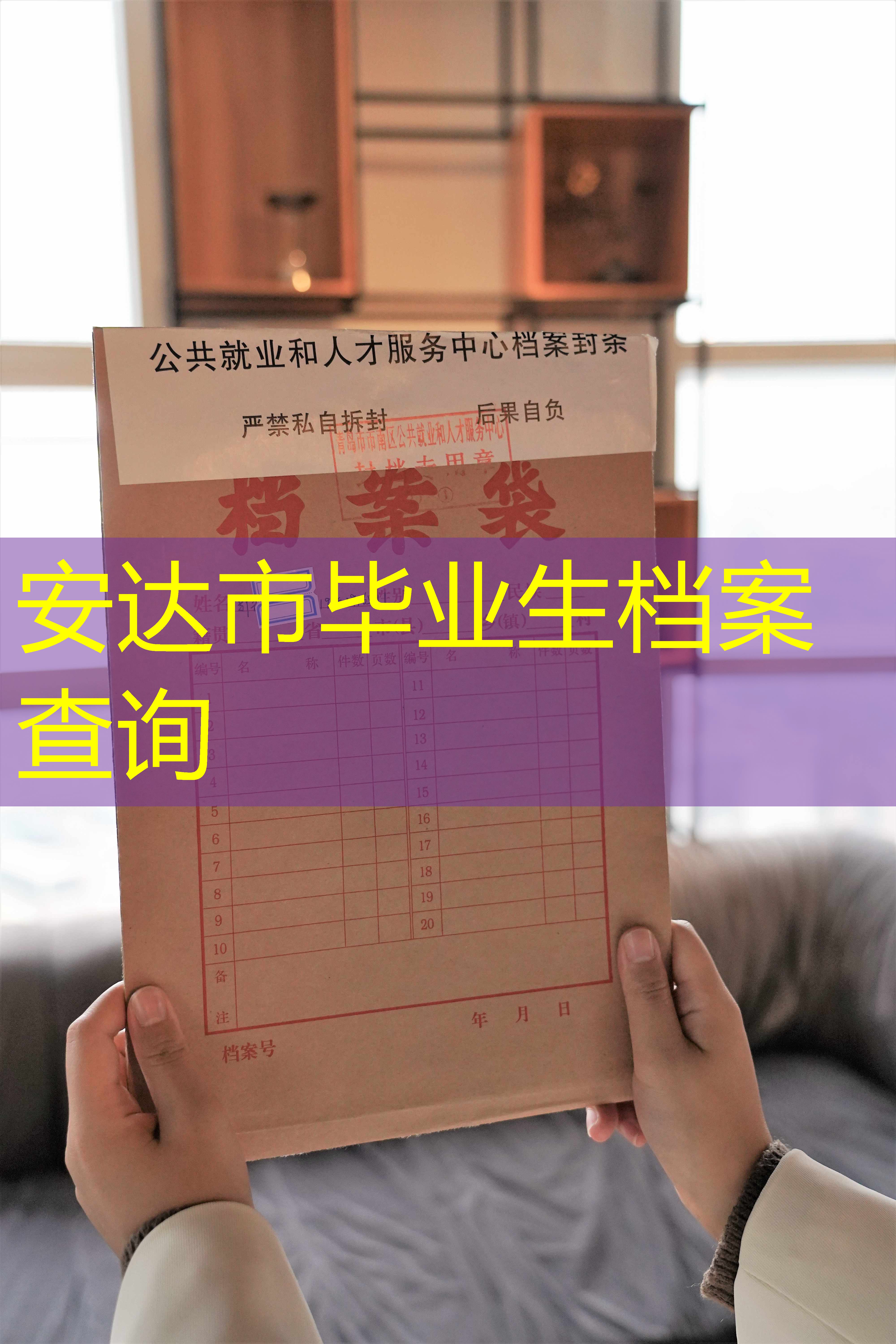 档案查询