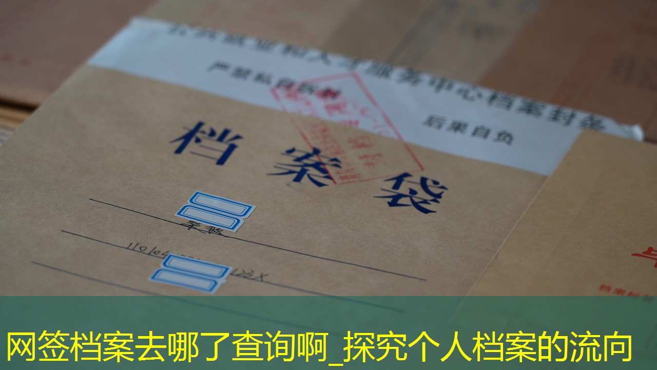 档案查询