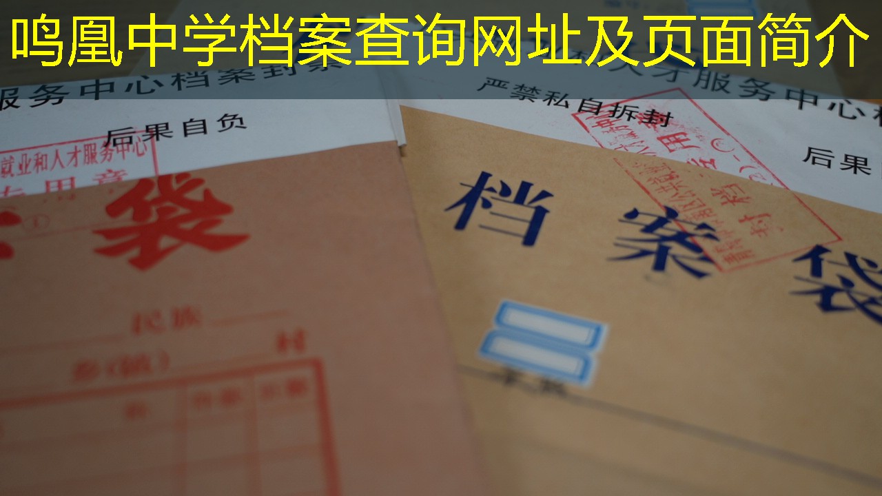 档案查询