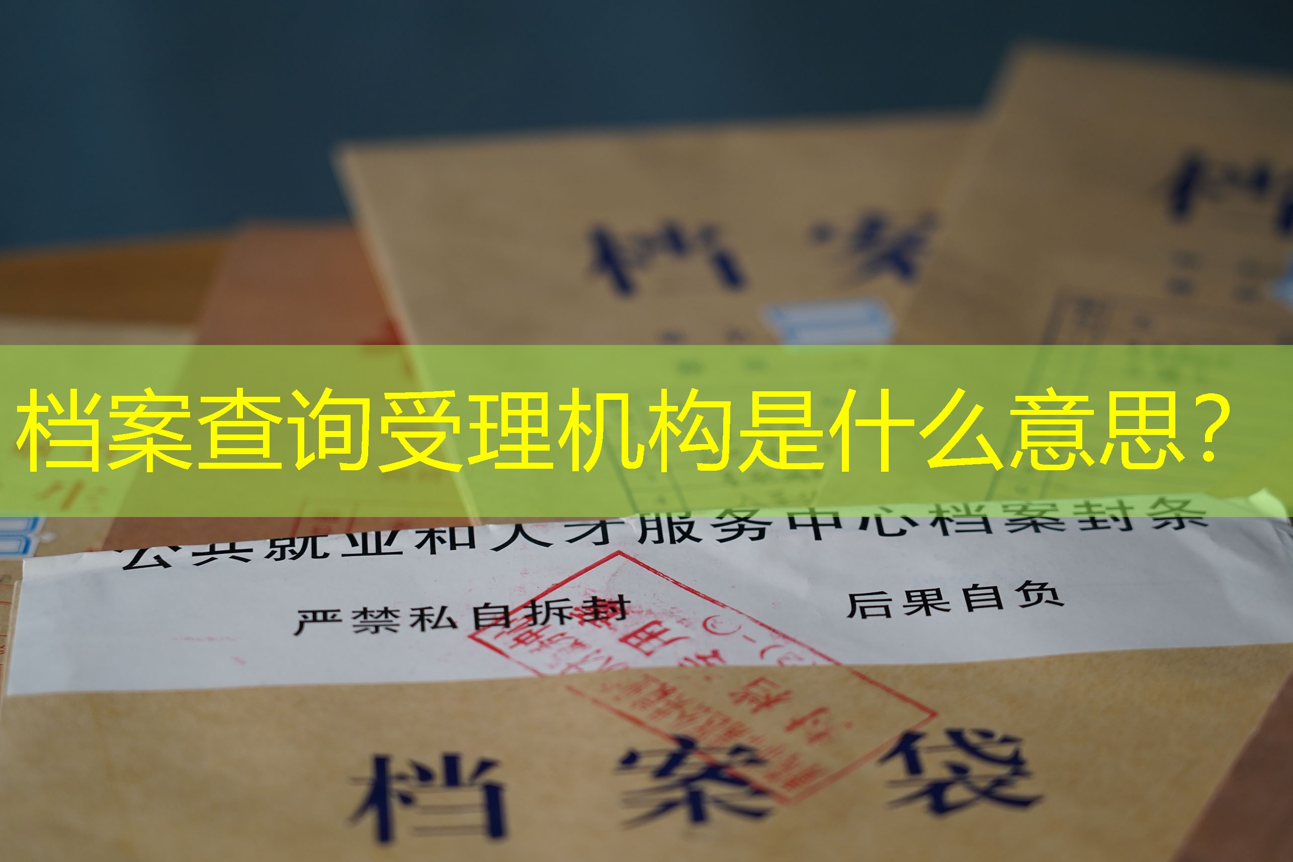 档案查询