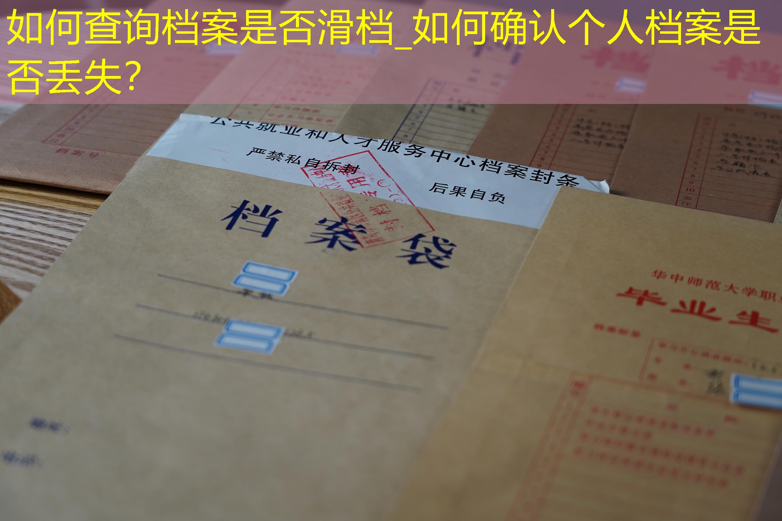 档案查询