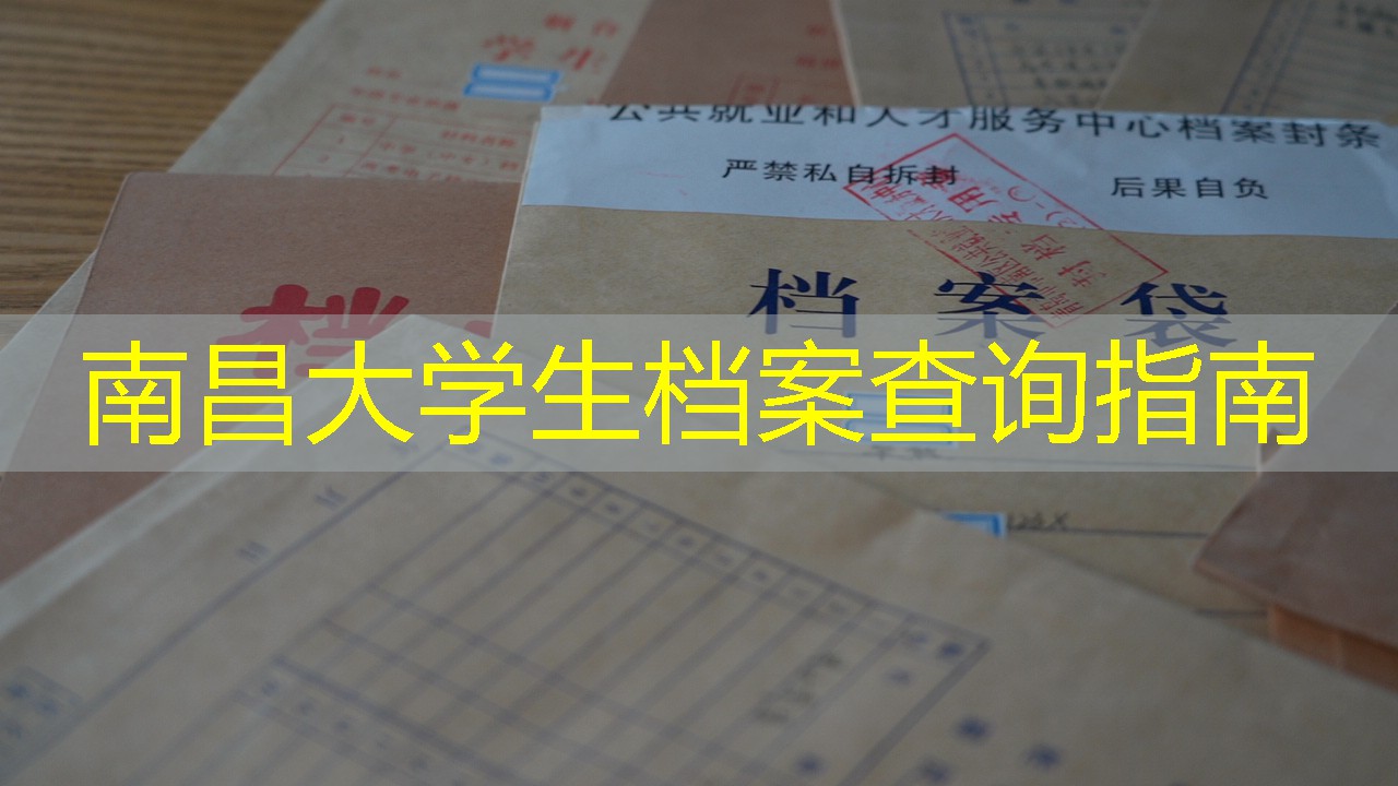 档案查询