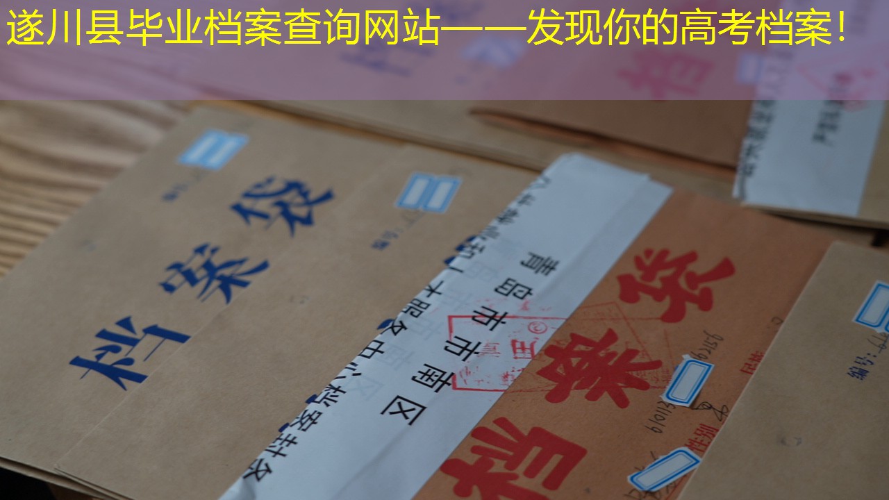 档案查询