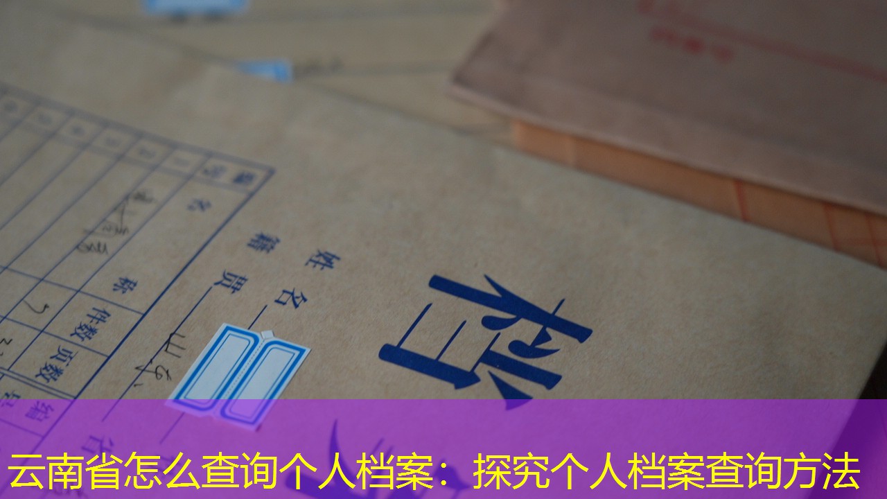 档案查询