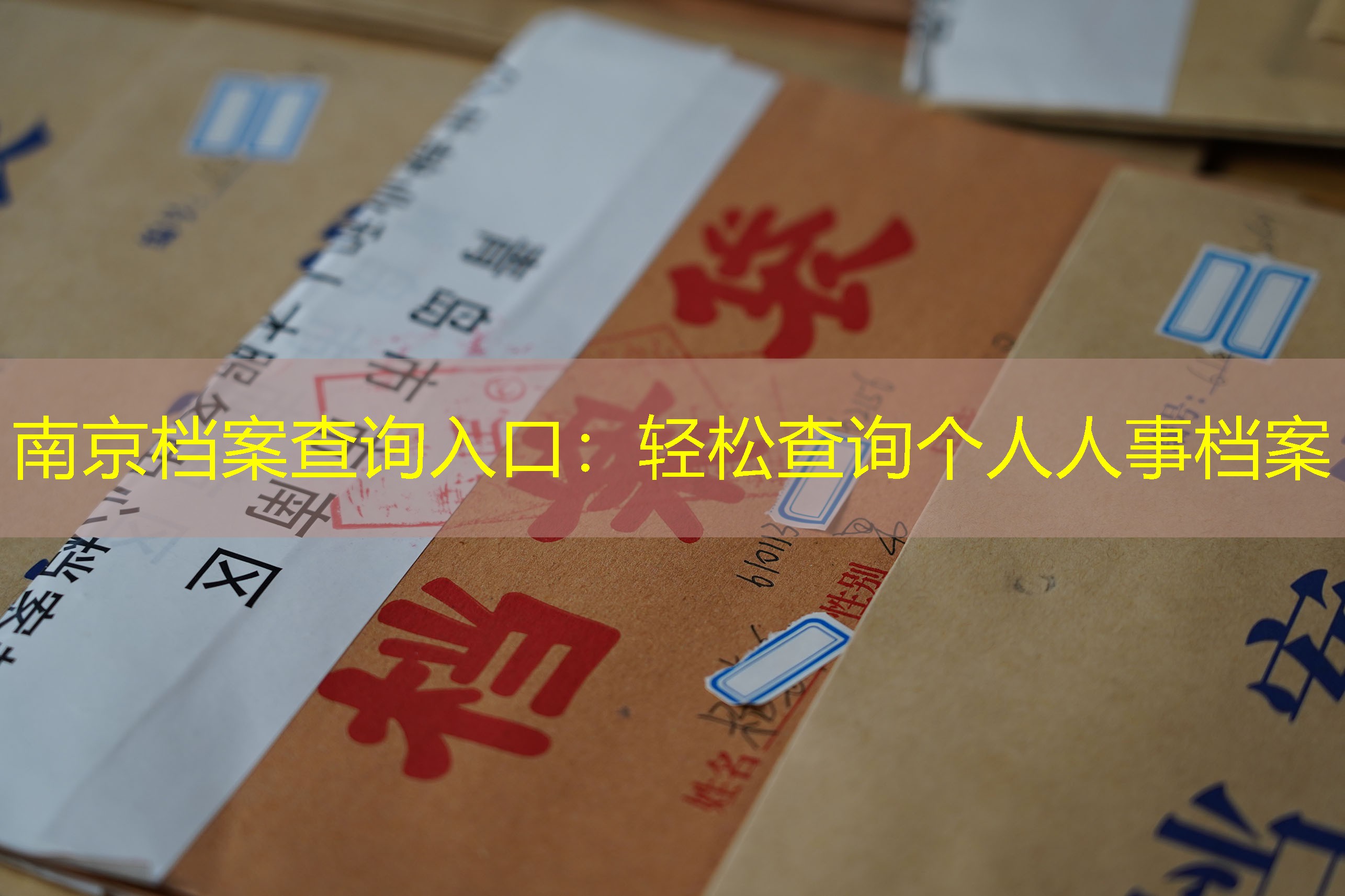 档案查询
