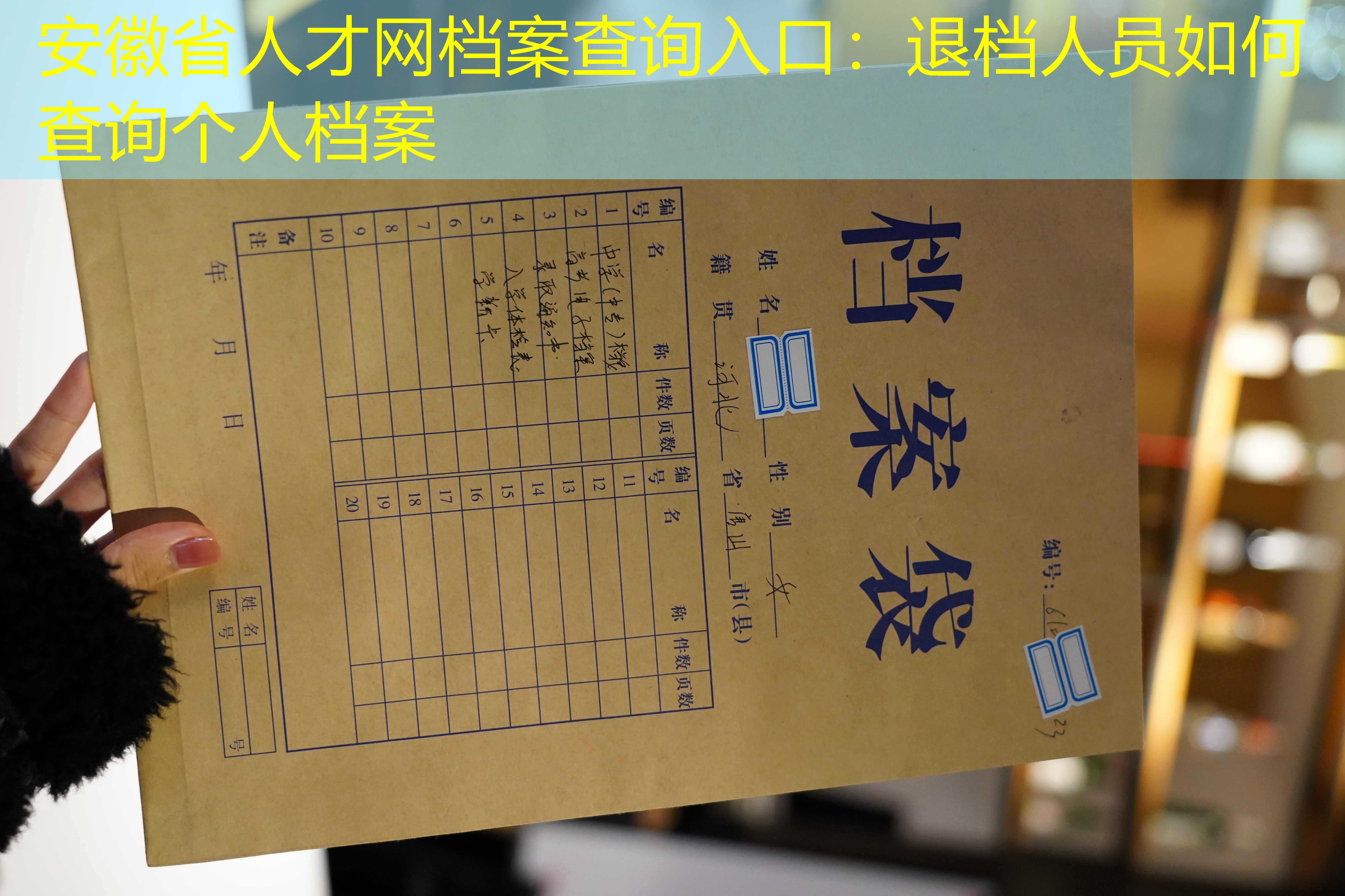 档案查询