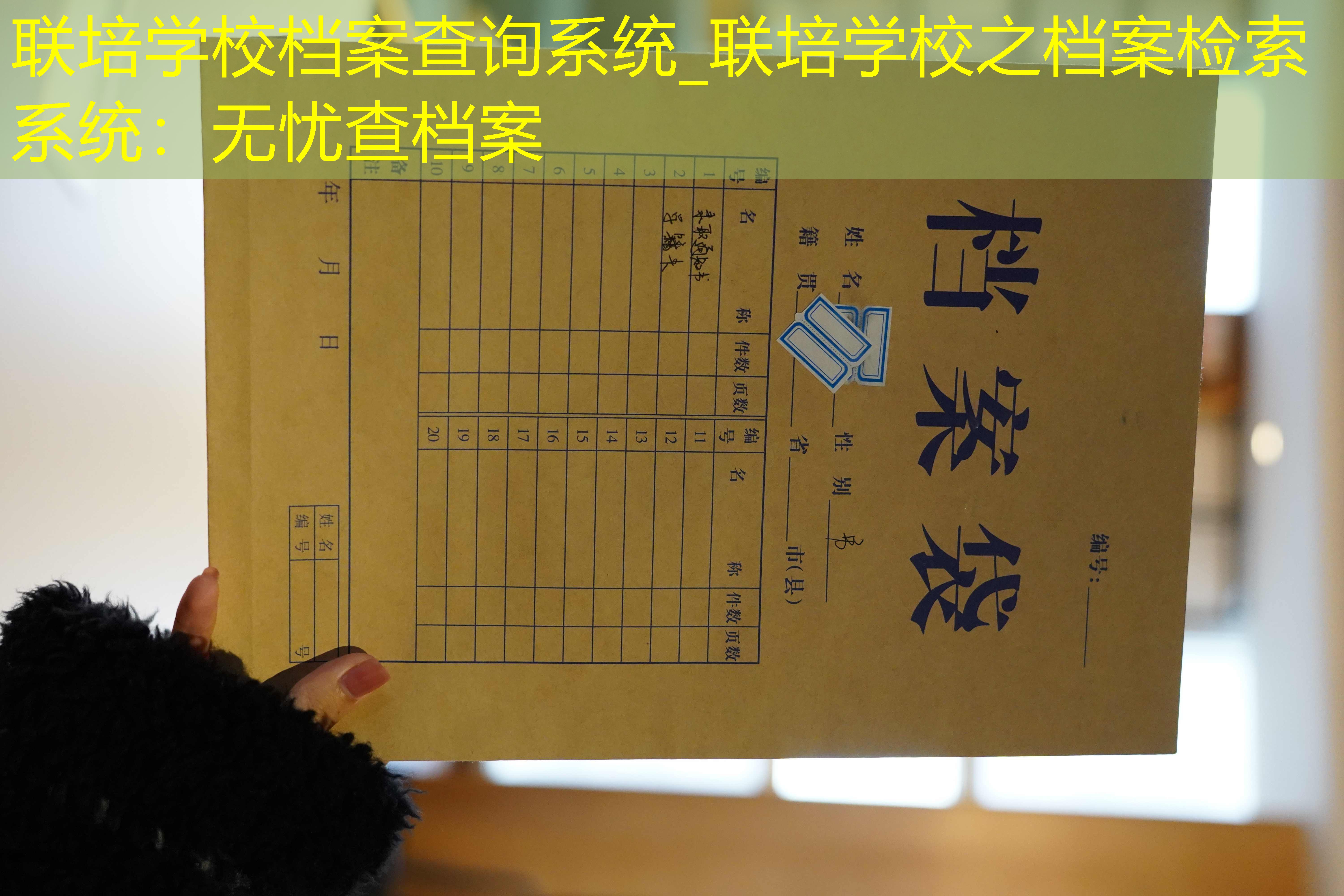 档案查询