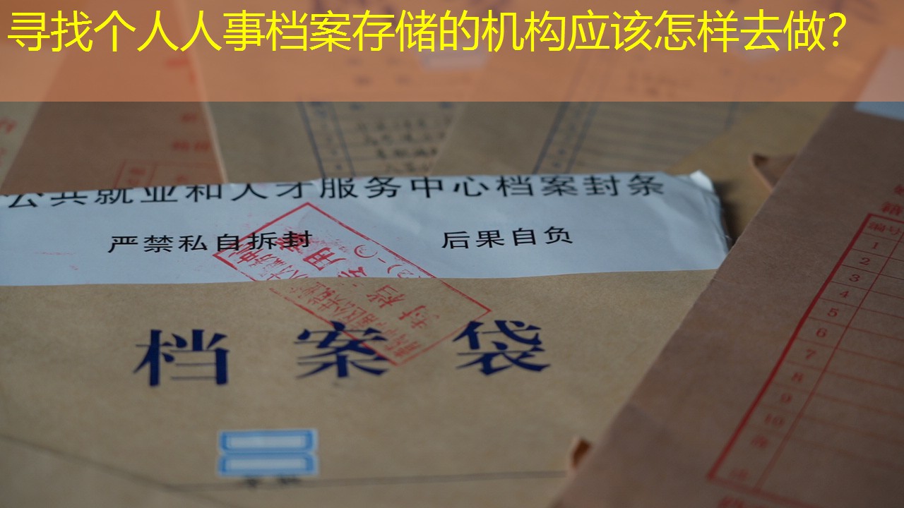 档案查询