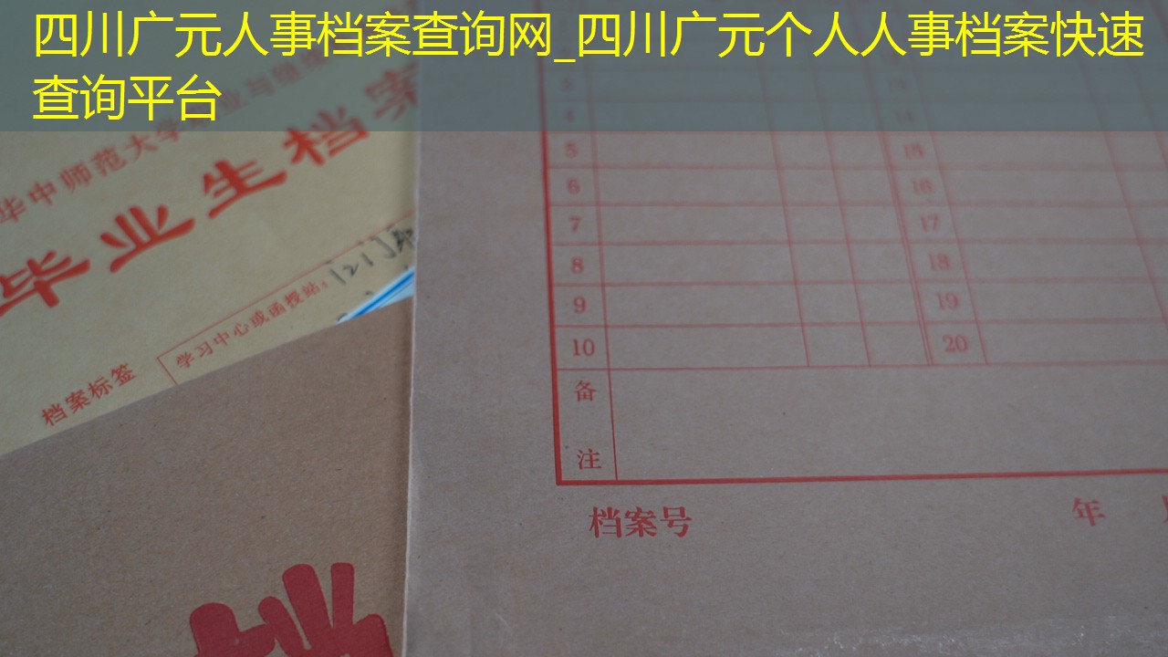 档案查询