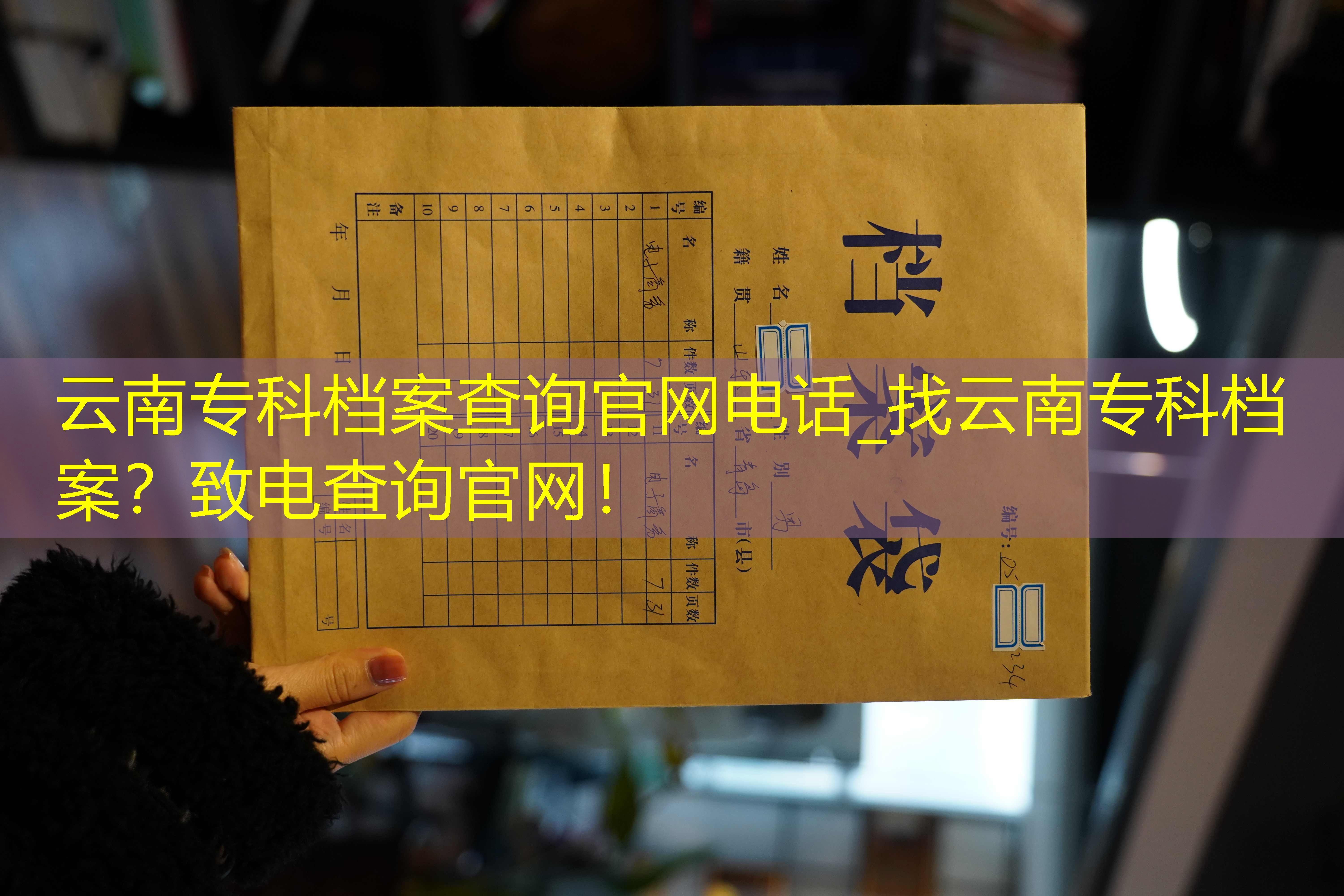 档案查询