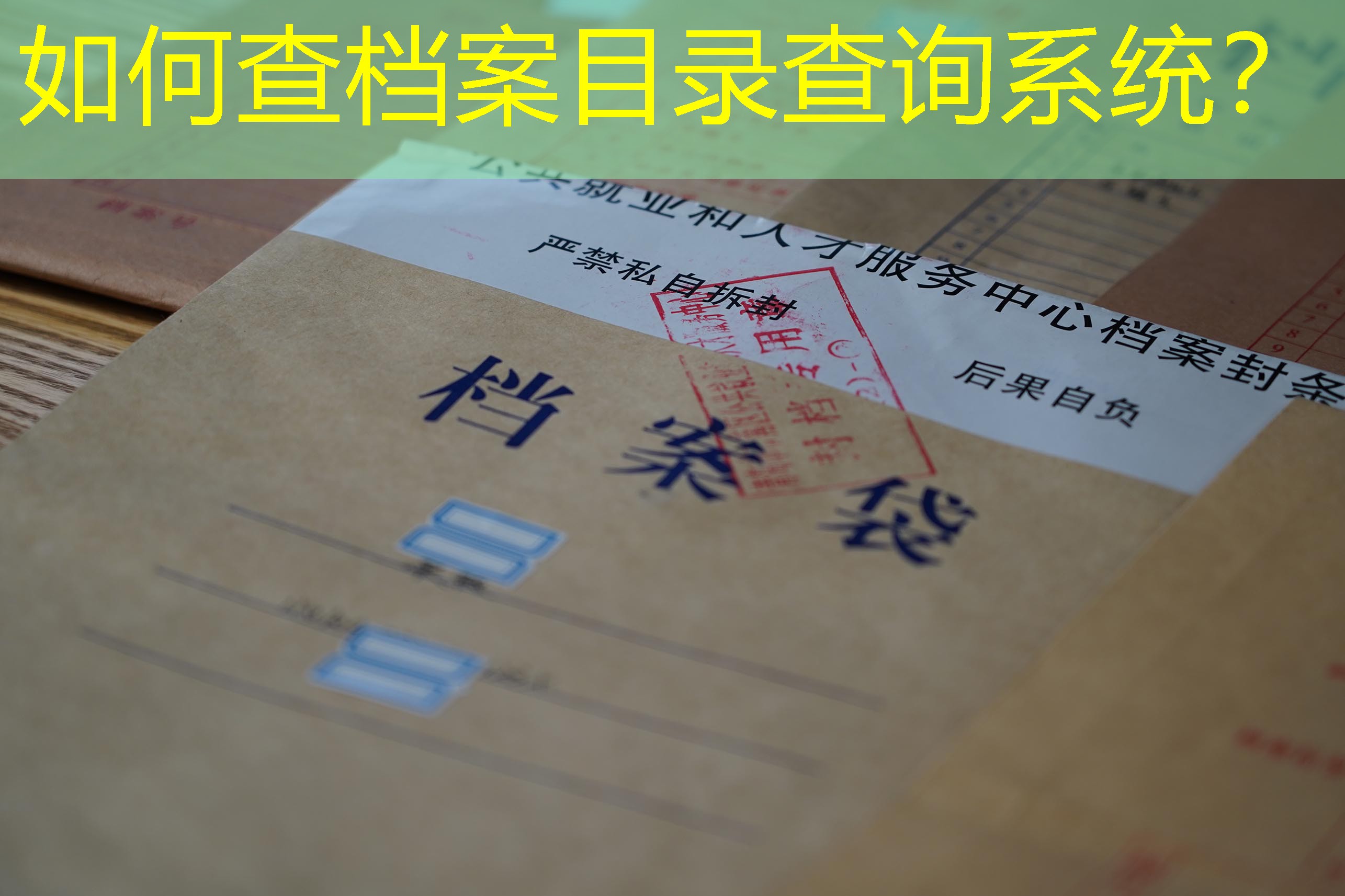 档案查询