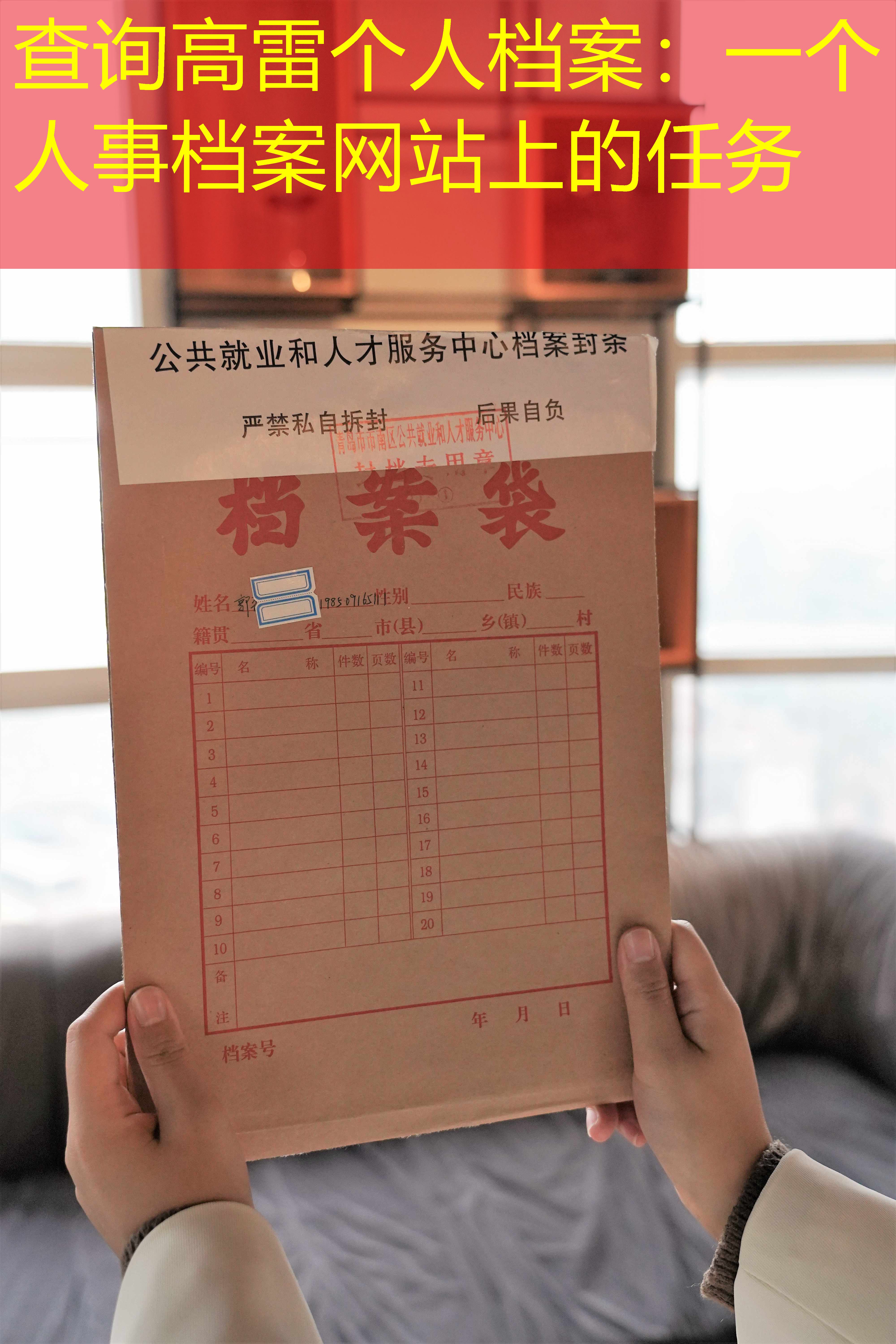档案查询