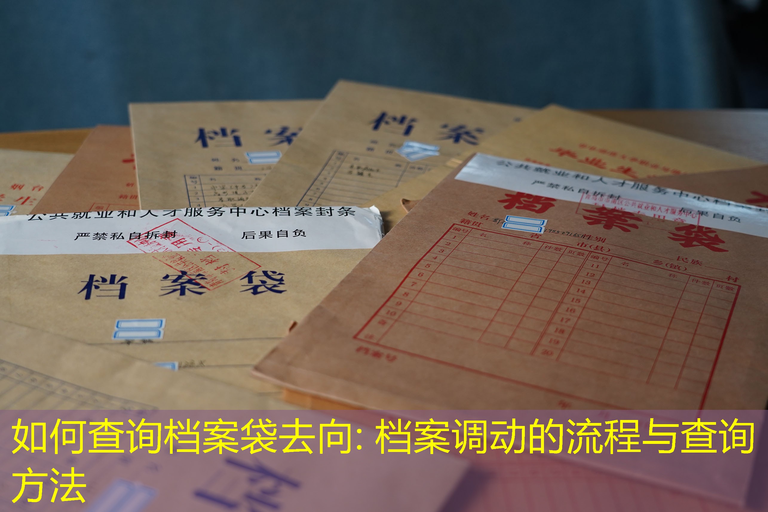 档案查询
