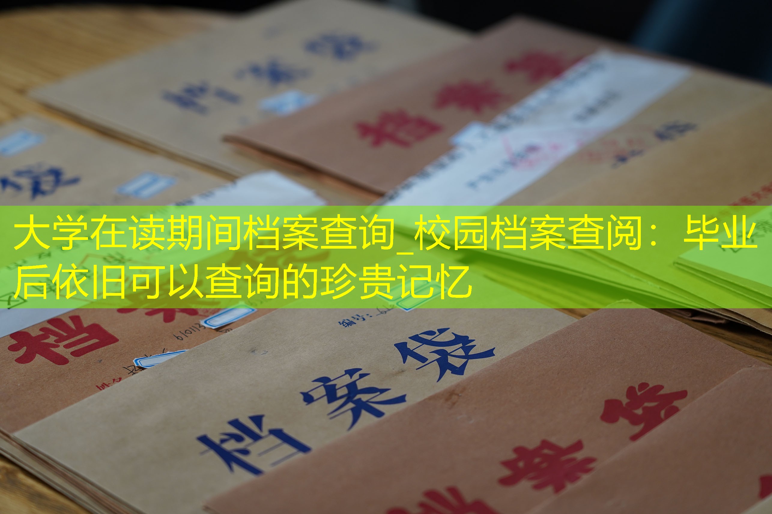 档案查询
