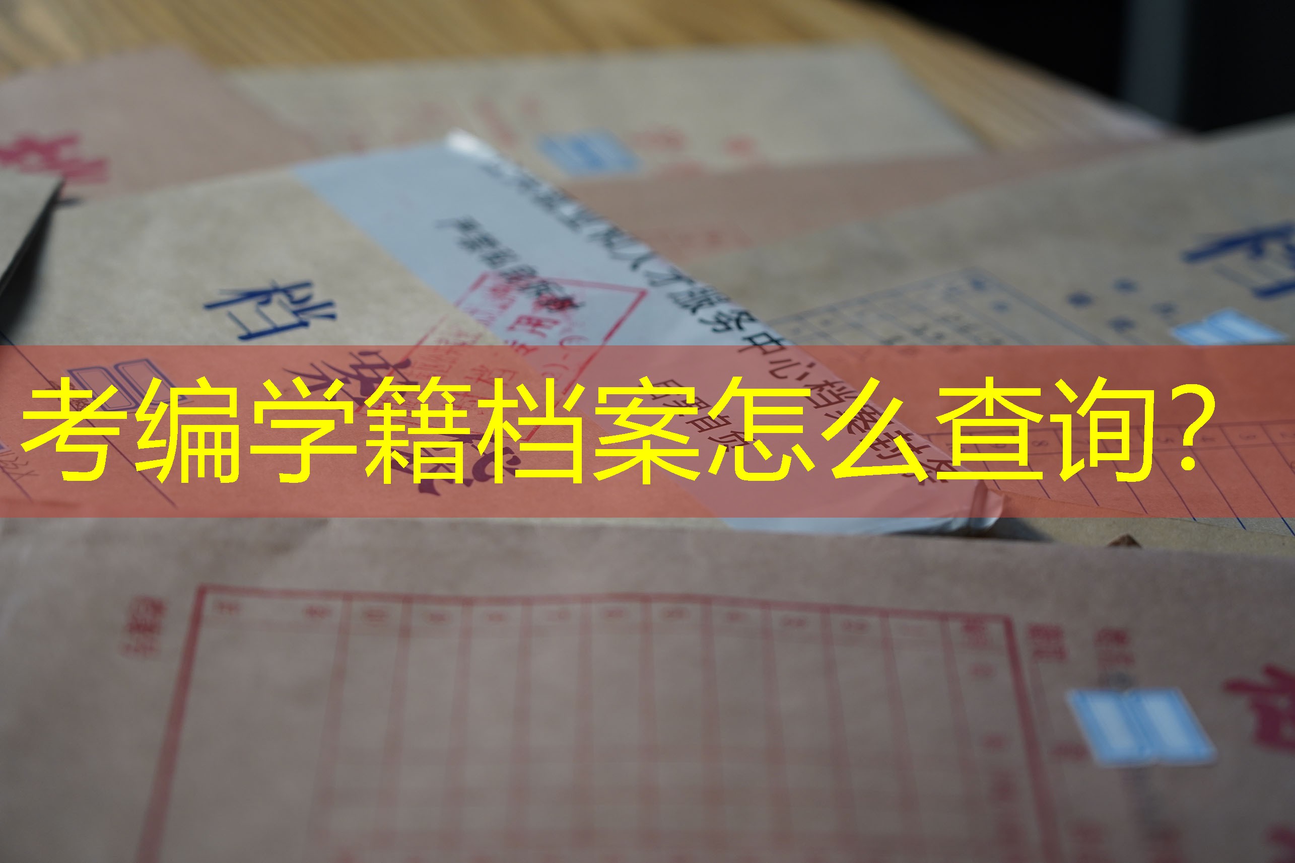 档案查询