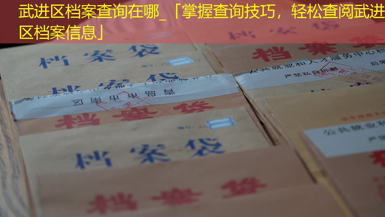 档案查询