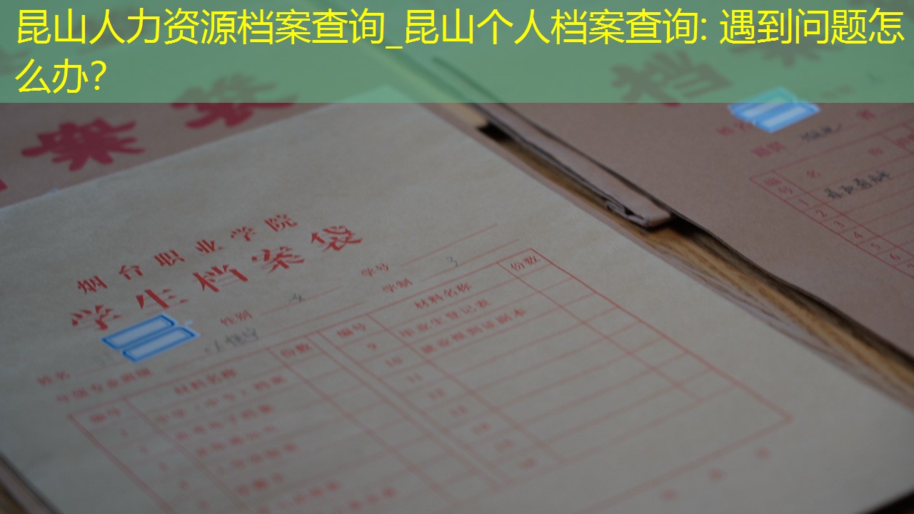 档案查询